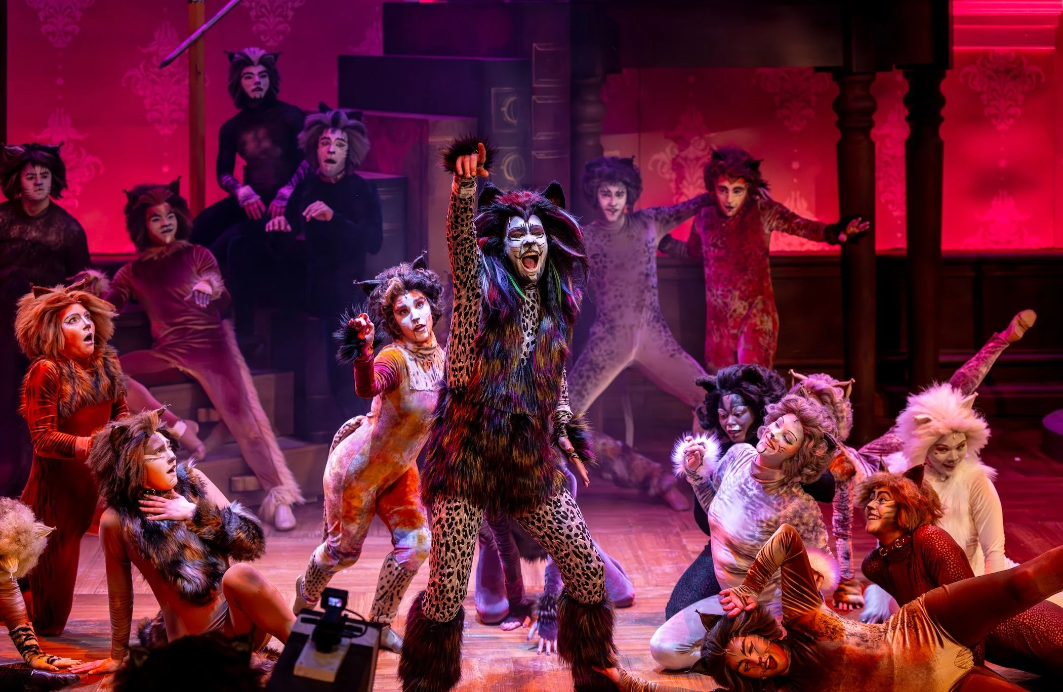 Ethan Lupp as “Rum Tum Tugger” and members of the cast of CATS