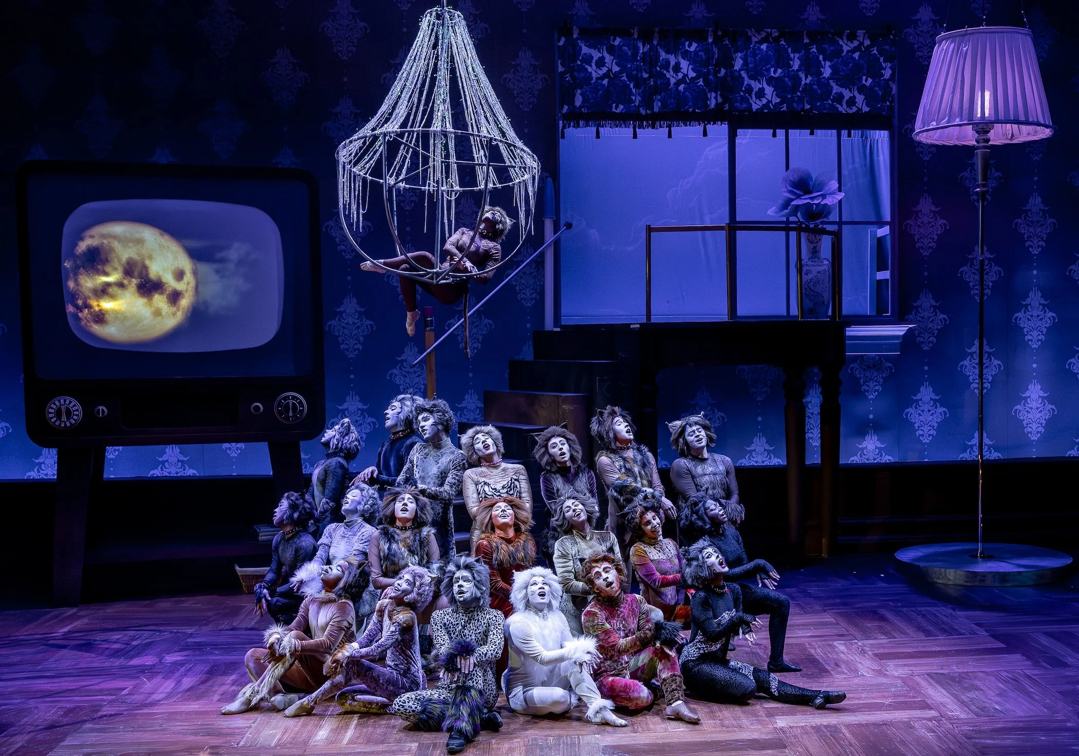 Music Theater Works: CATS