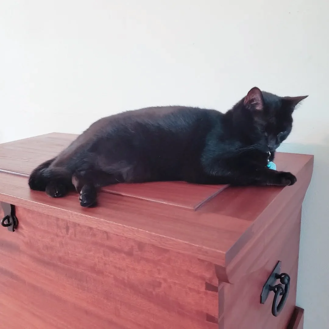 Feline approved. 

#woodshop #workshop #woodwork #Woodworking #dovetails #custom #navalheritage #seachest #sailing #navy #shadowbox #nautical #sapele #mahogany #travel #upholstery #cat #catsofinstagram