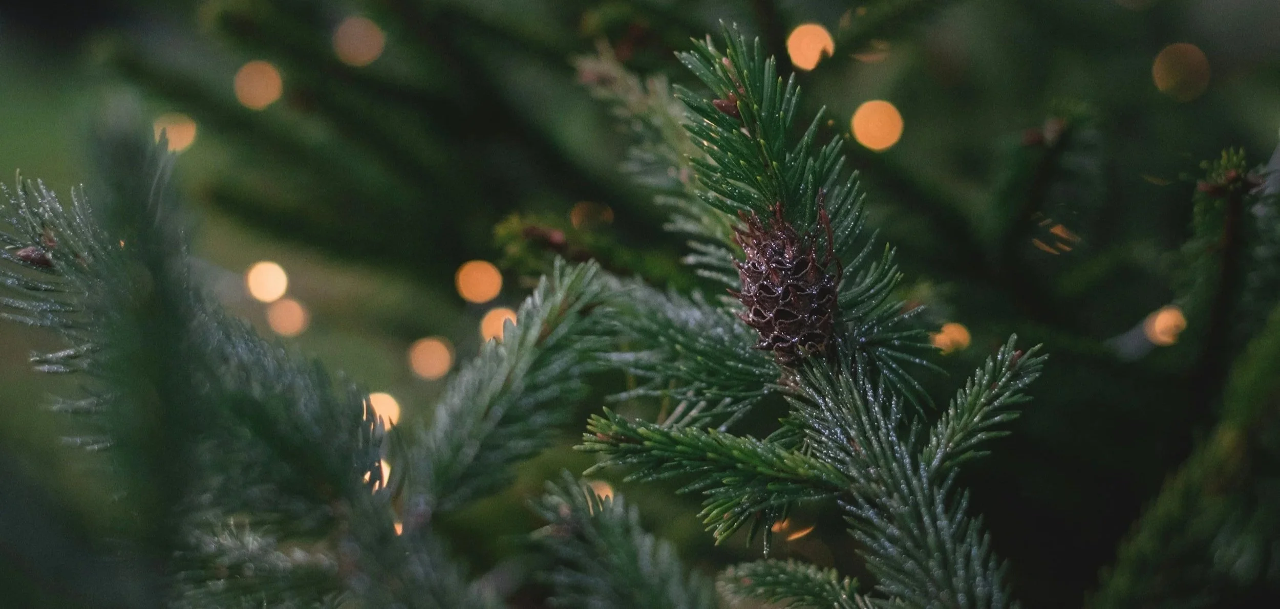 finding calm during the holidays