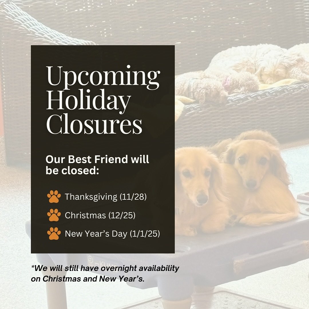 Holiday Hours Update from Our Best Friend!

We will be CLOSED on:
🦃 Thanksgiving Day (11/28)
🎄 Christmas Day (12/25)
🎉 New Year&rsquo;s Day (1/1)

However, we will still offer overnight boarding on Christmas and New Year&rsquo;s.

💡 Reminder: Spo