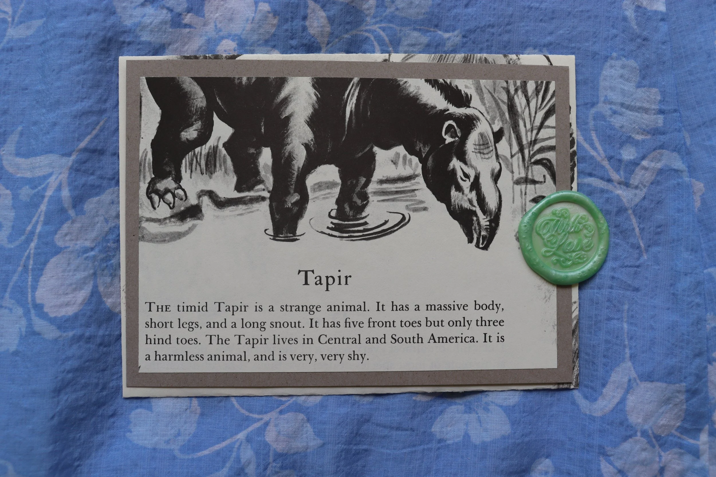 IMG_4053.JPG