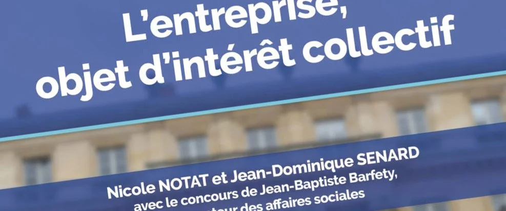 Input to the French Commission