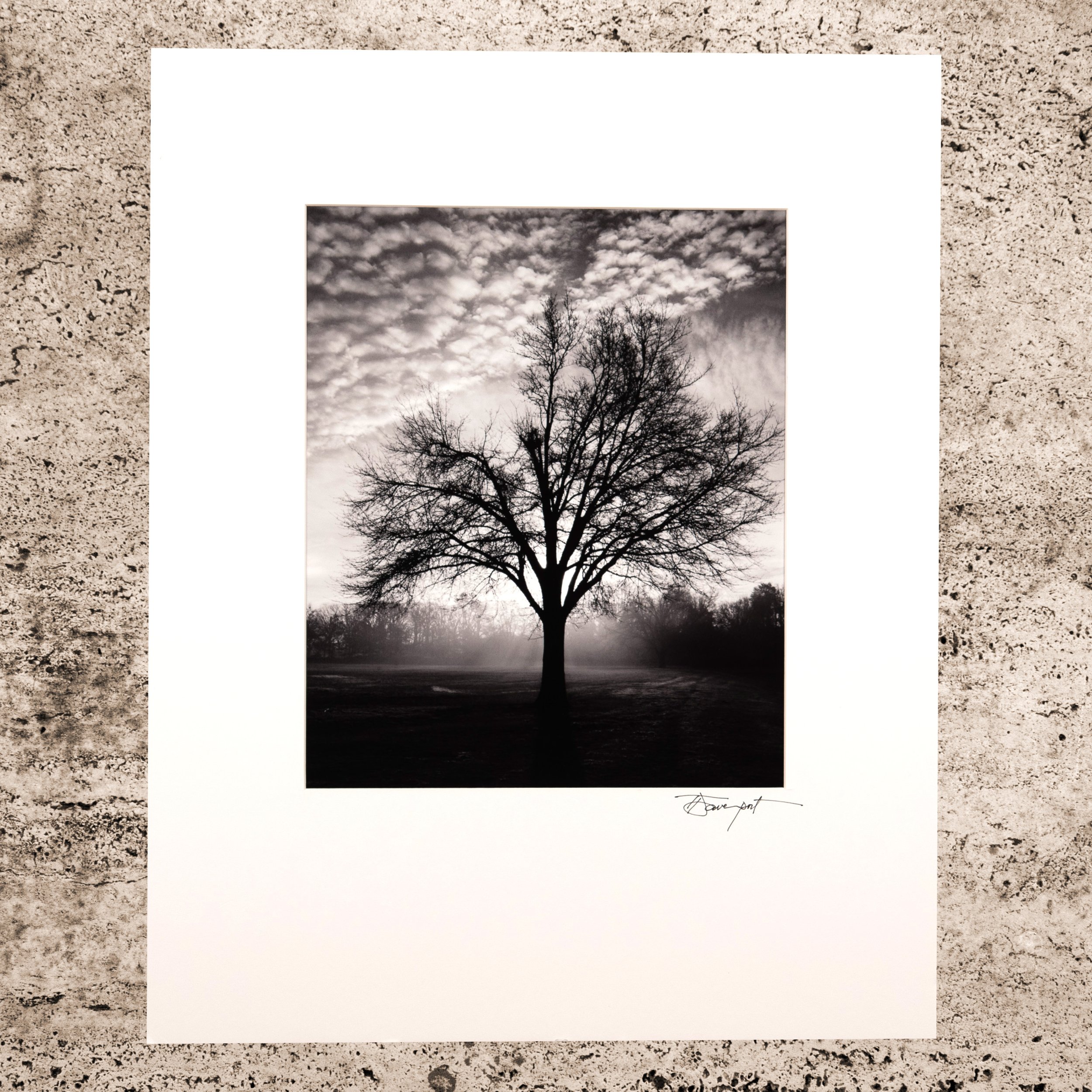 DaybreakBWWhtMat16x20 copy.jpg