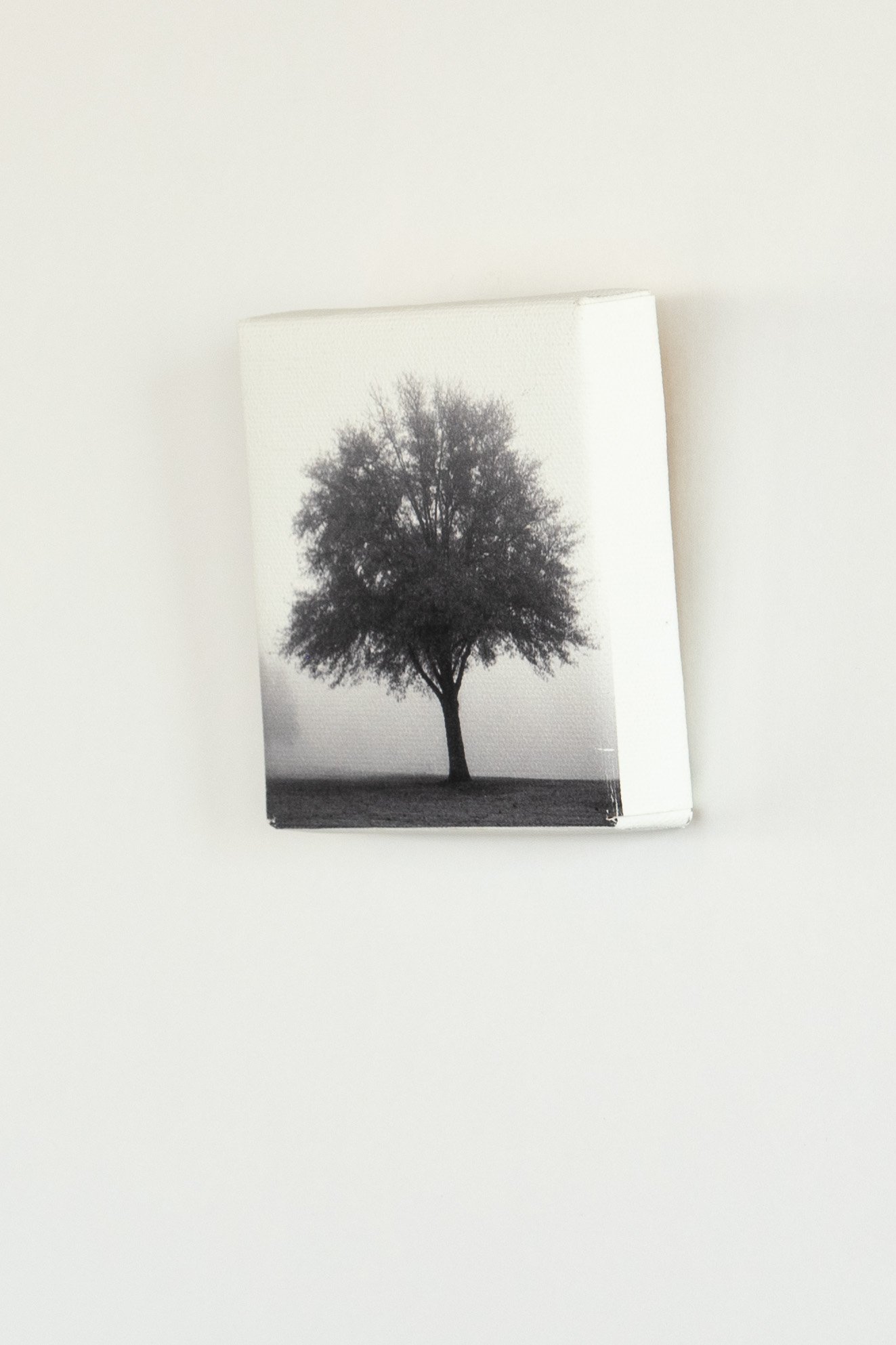 PhotoSentinelCanvasBW4x4.jpg