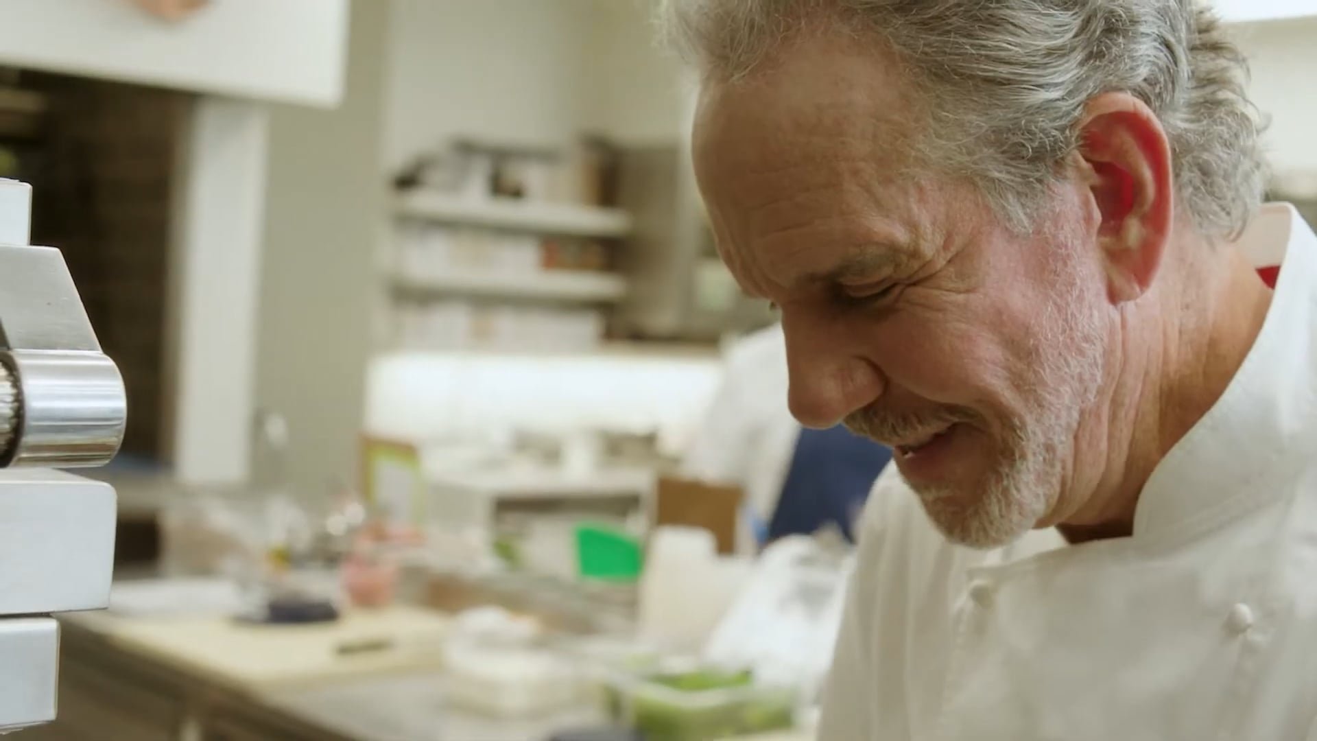   HESTAN   Thomas Keller Insignia - Food Focused  