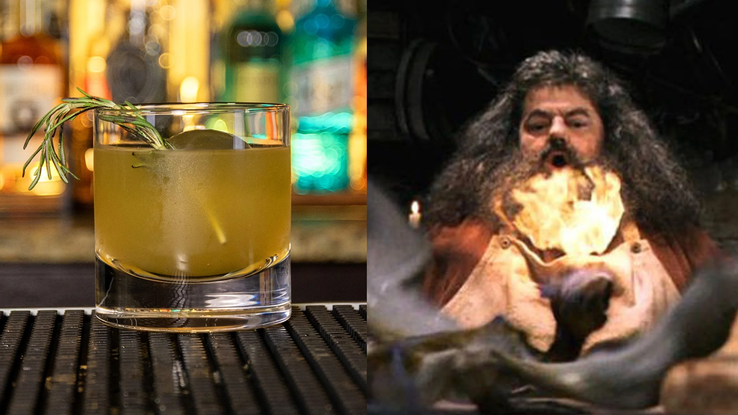 Hagrid - Harry Potter and the Sorcerer's Stone