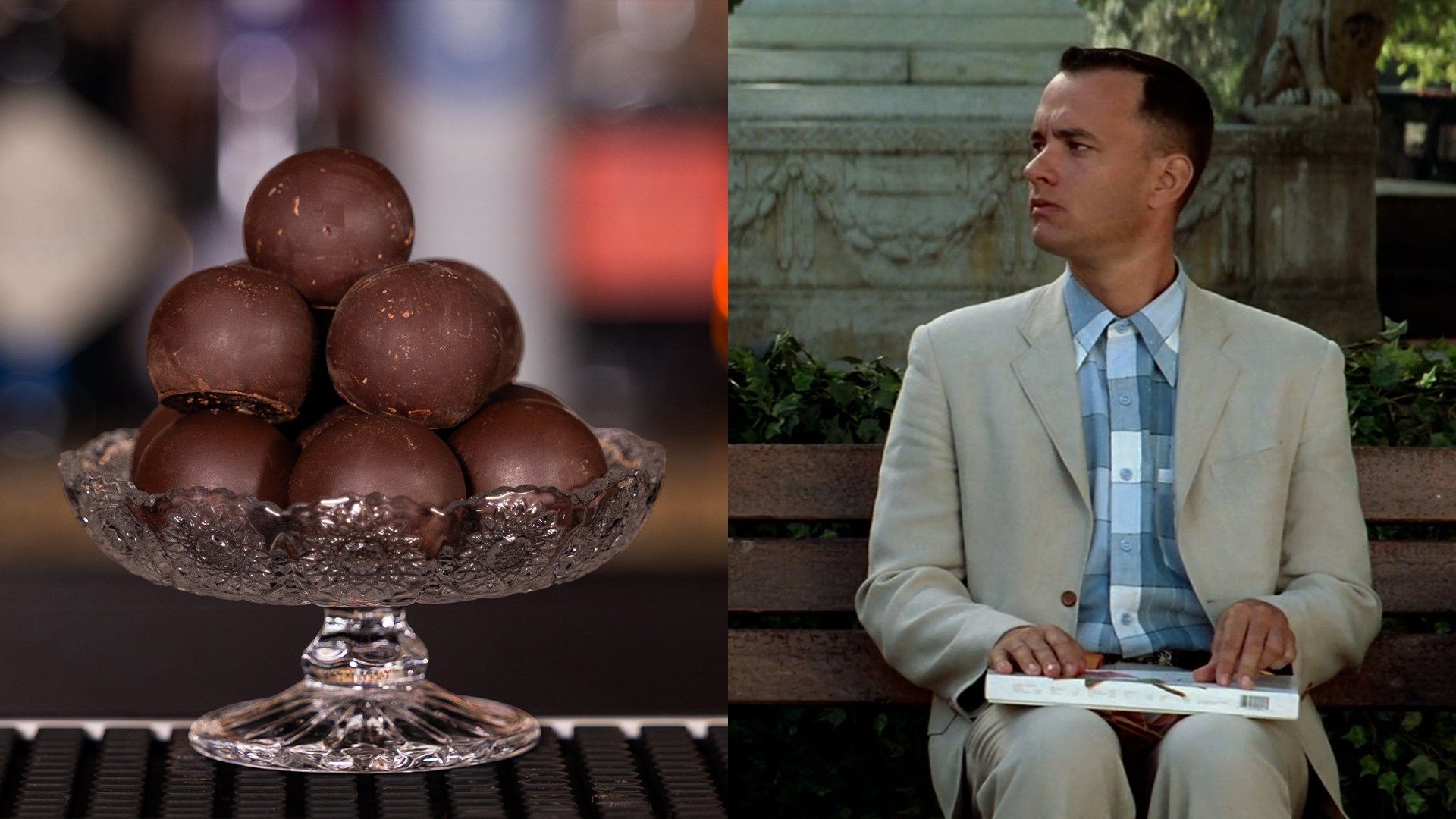 Box of Chocolates - Forrest Gump