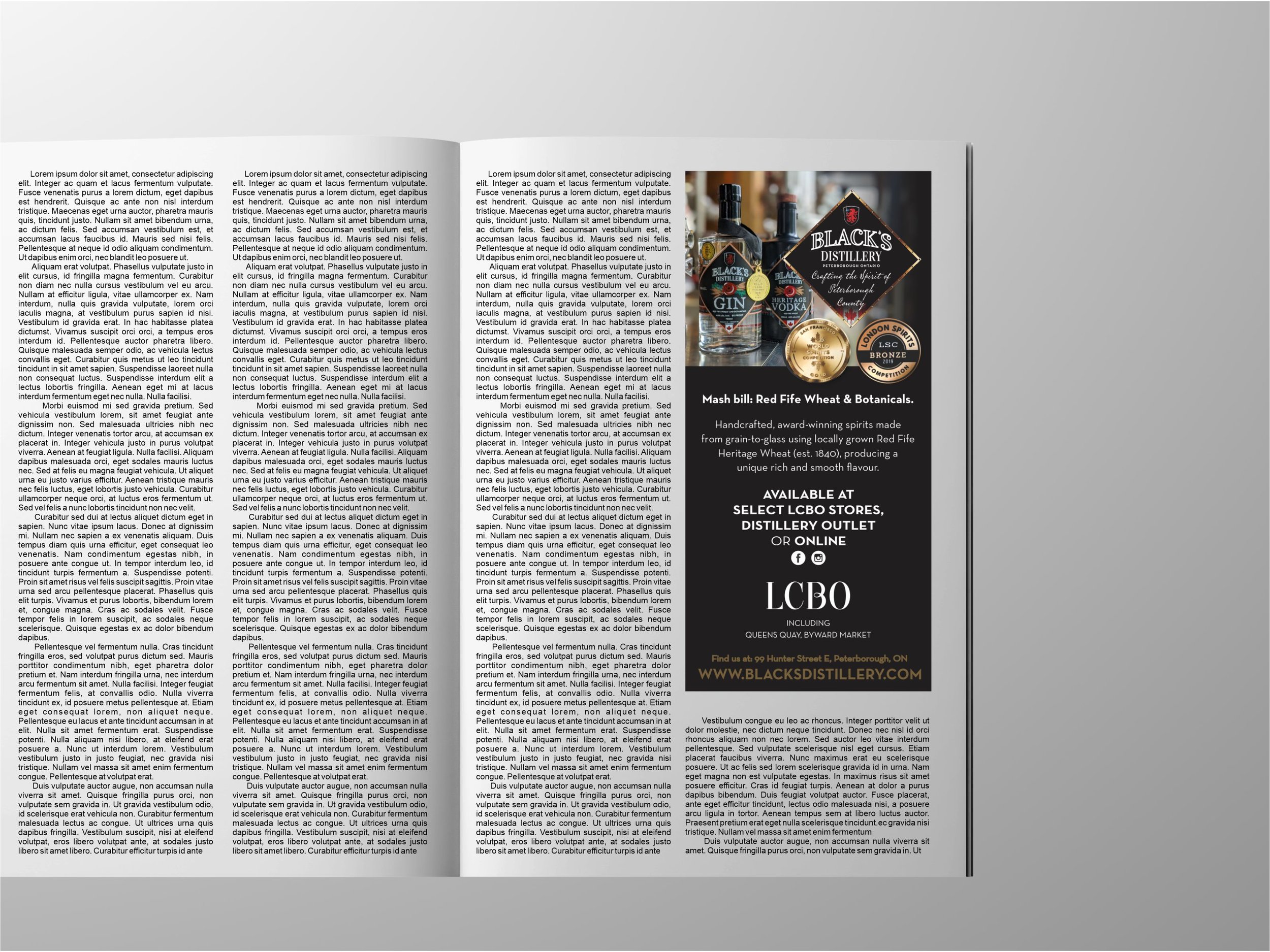 Watershed Magazin Ad-For Website.jpg