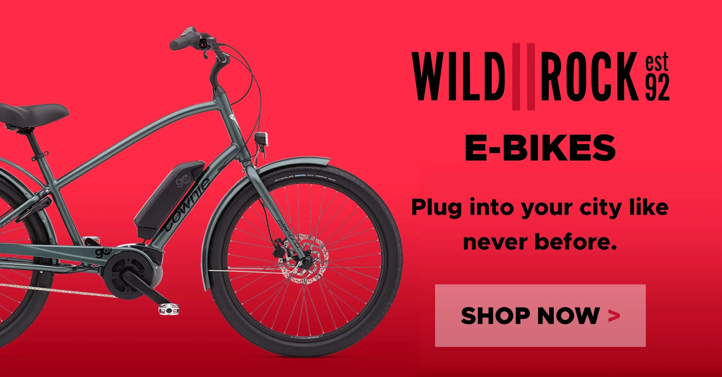 Wild Rock Ads_EBikes2_800W_HR.jpg