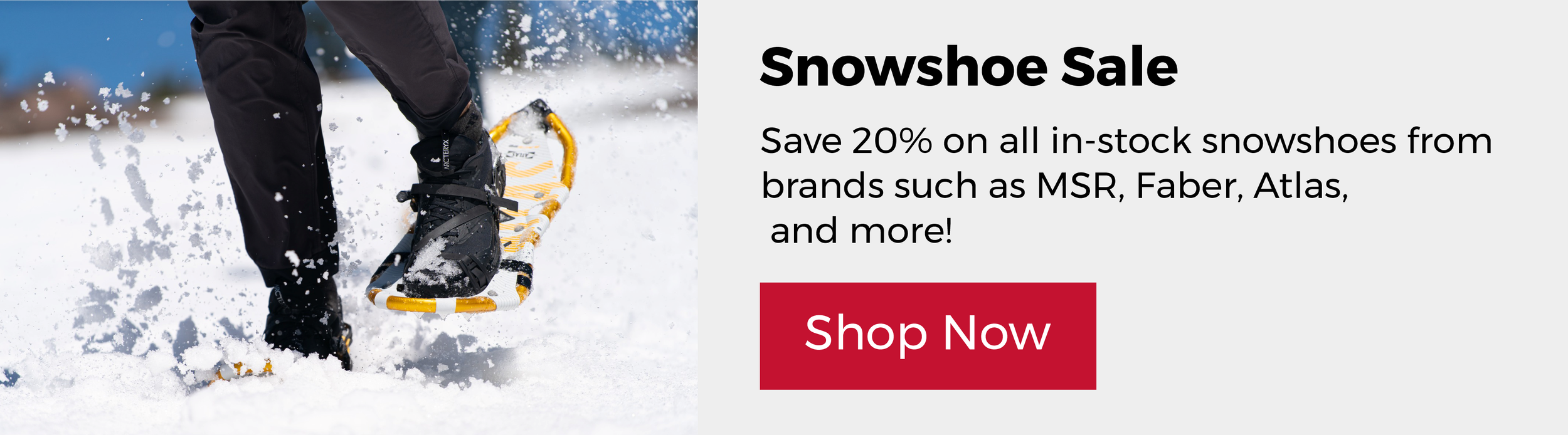 Wild Rock - Winter Sale - snowshoes.png