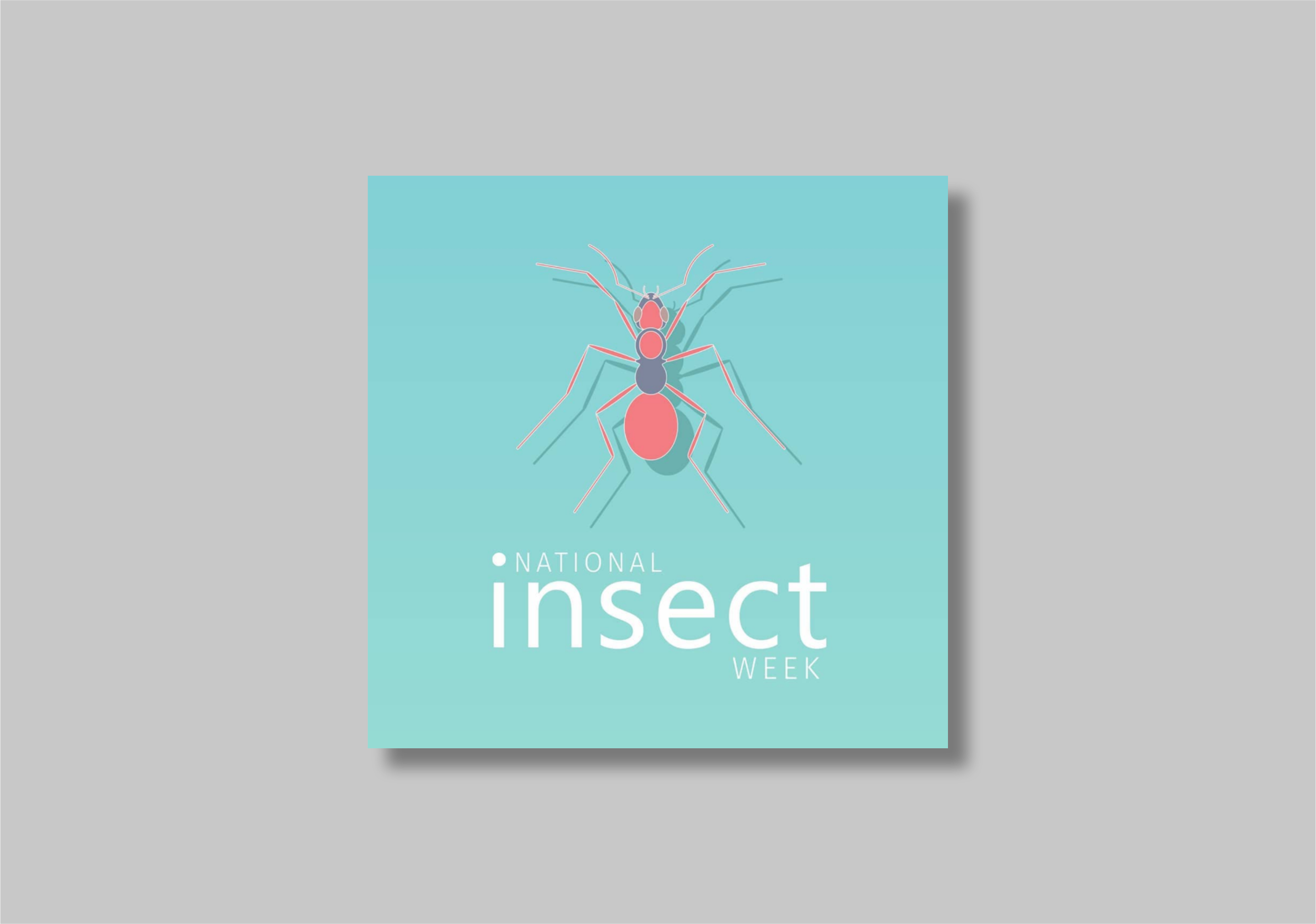 National Insect Week.png
