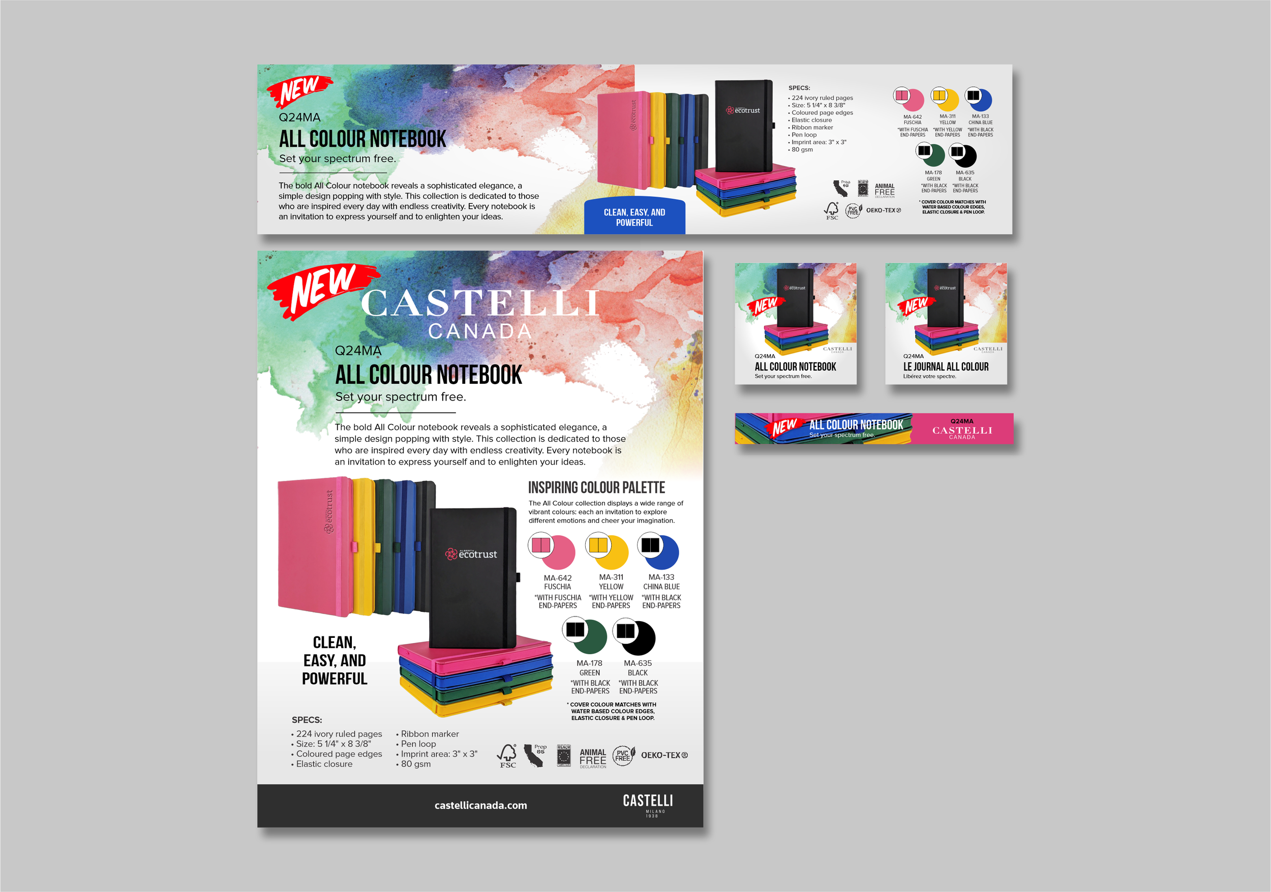 All Colour.png