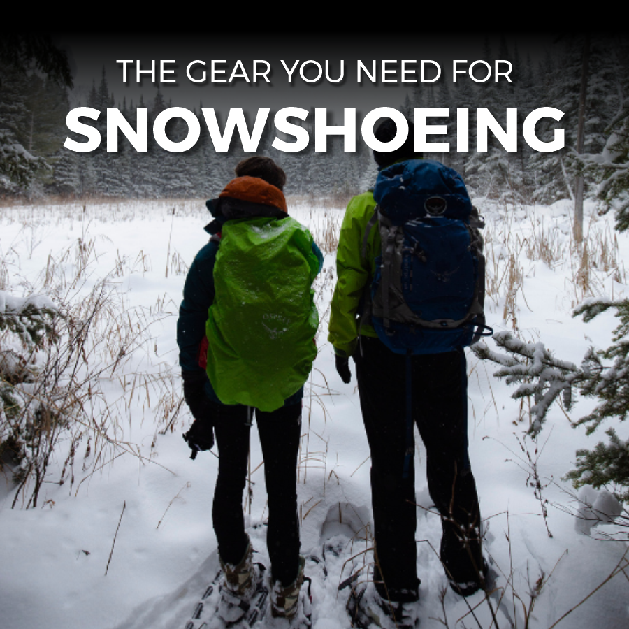 Wild Rock - Snowshoeing1.png