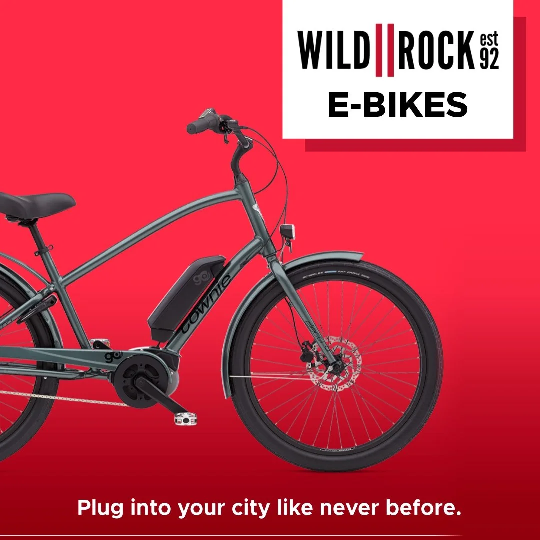 Wild Rock Ads_EBikes2_HR.jpg