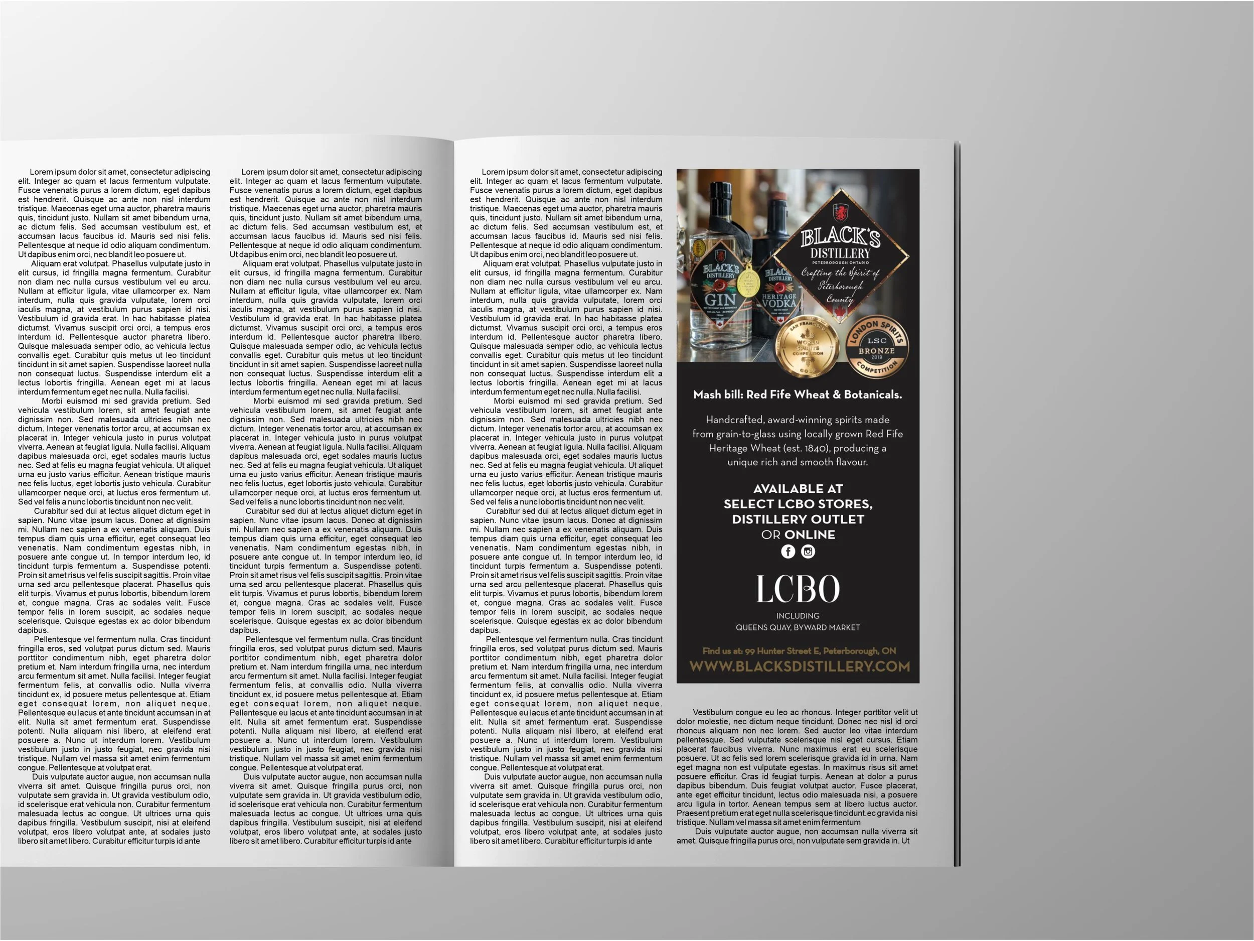 Watershed Magazin Ad-For Website.jpg