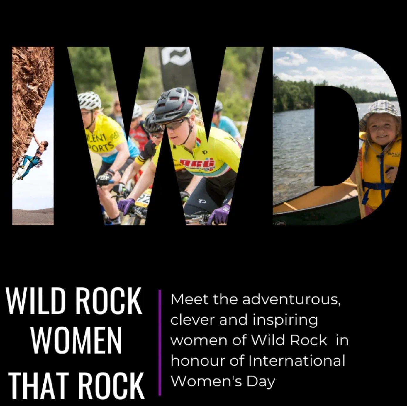 Wild Rock IWD.JPG