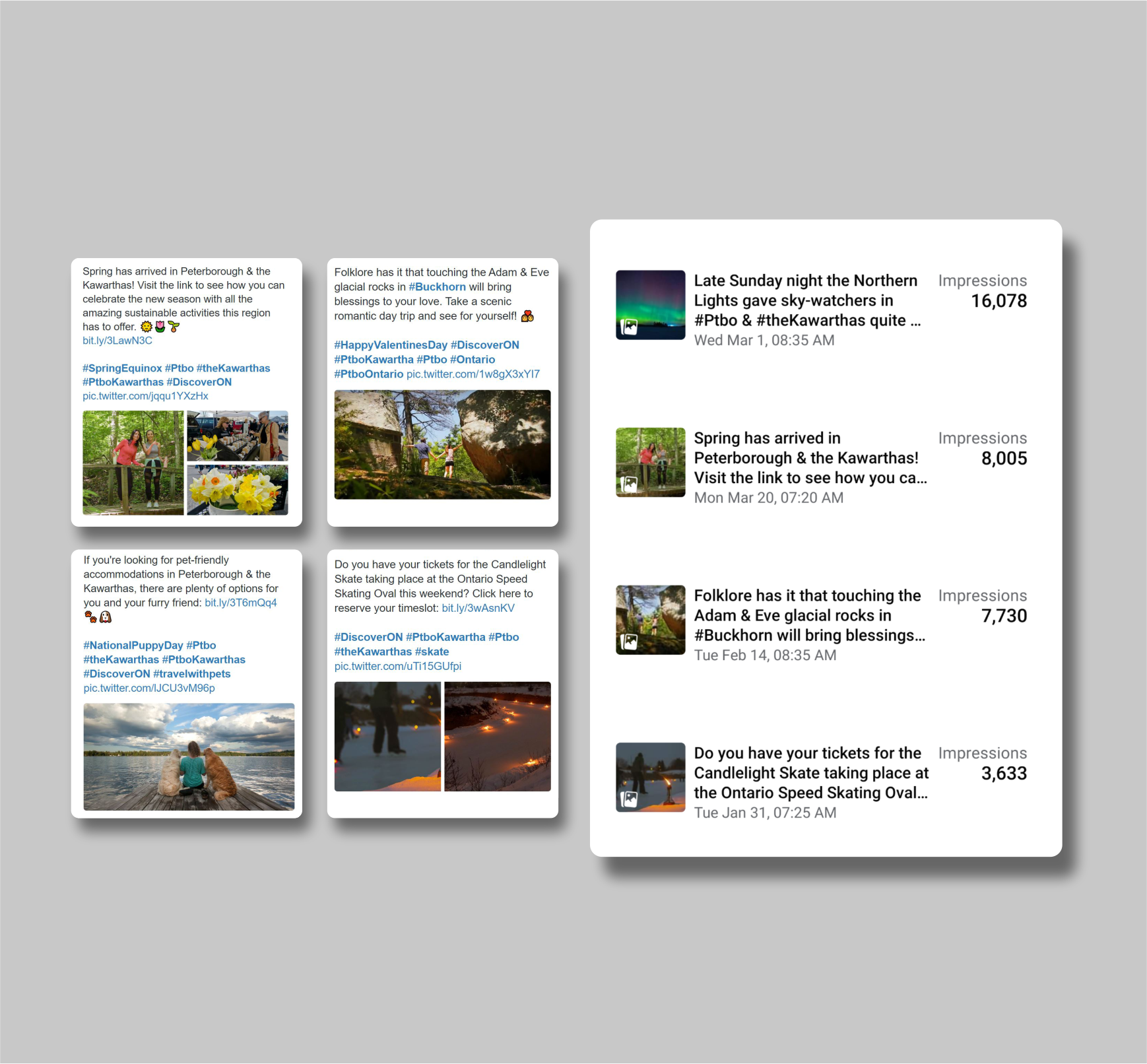 Social Media Postings