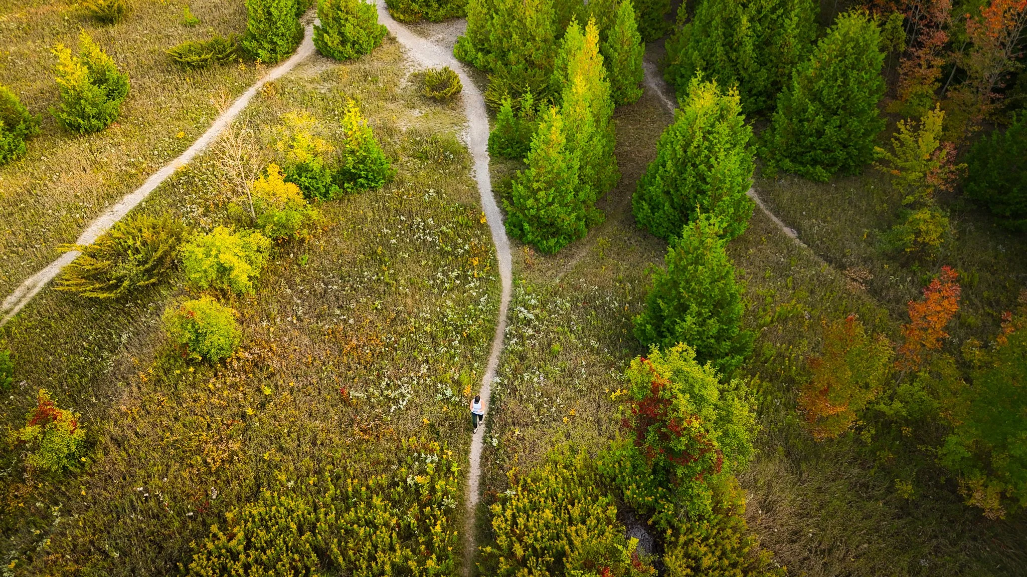 dji_fly_20240914_182526_0013_1726358112930_photo.jpg
