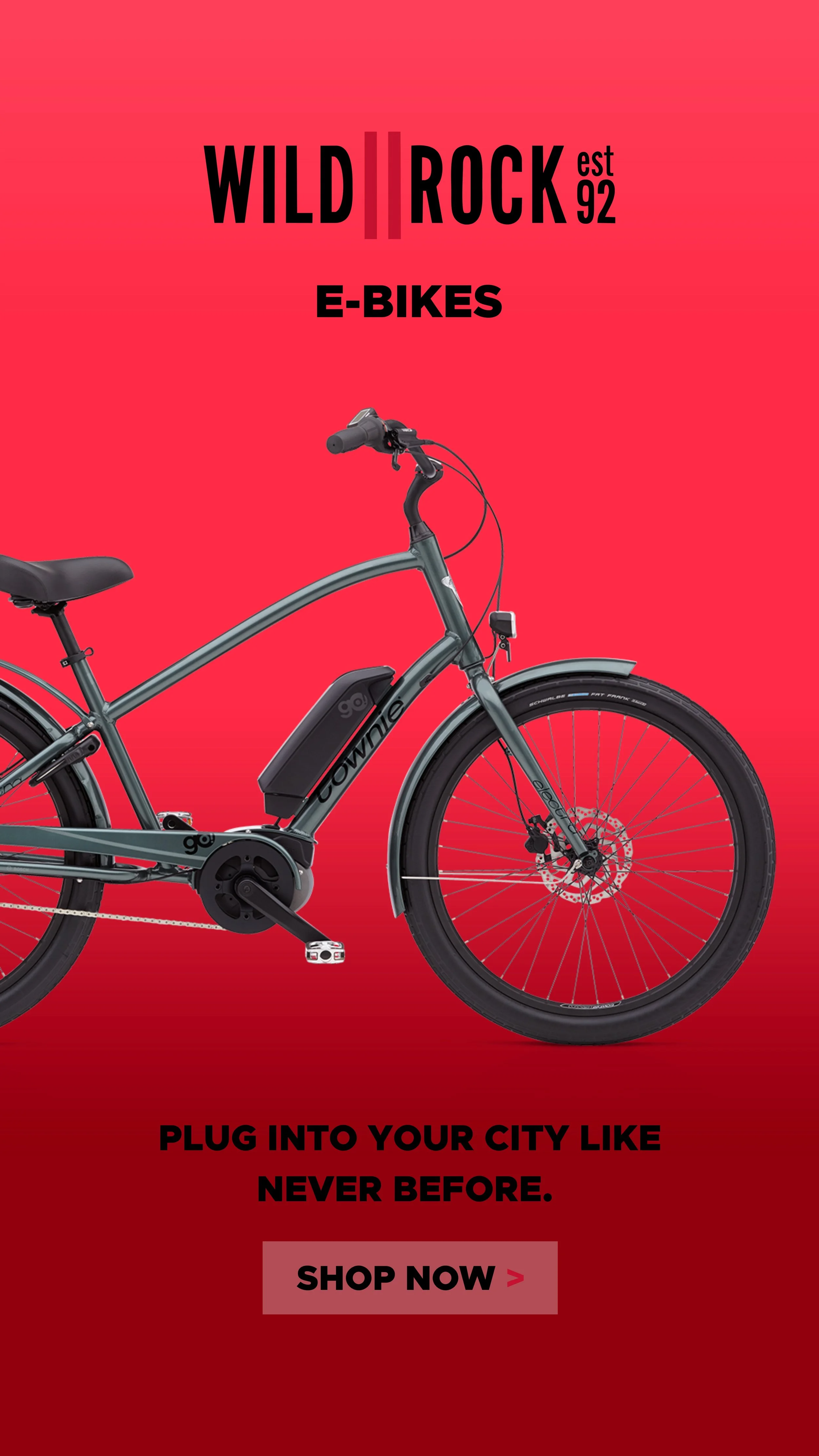 Wild Rock Ads_EBike2_1920H_HR.jpg