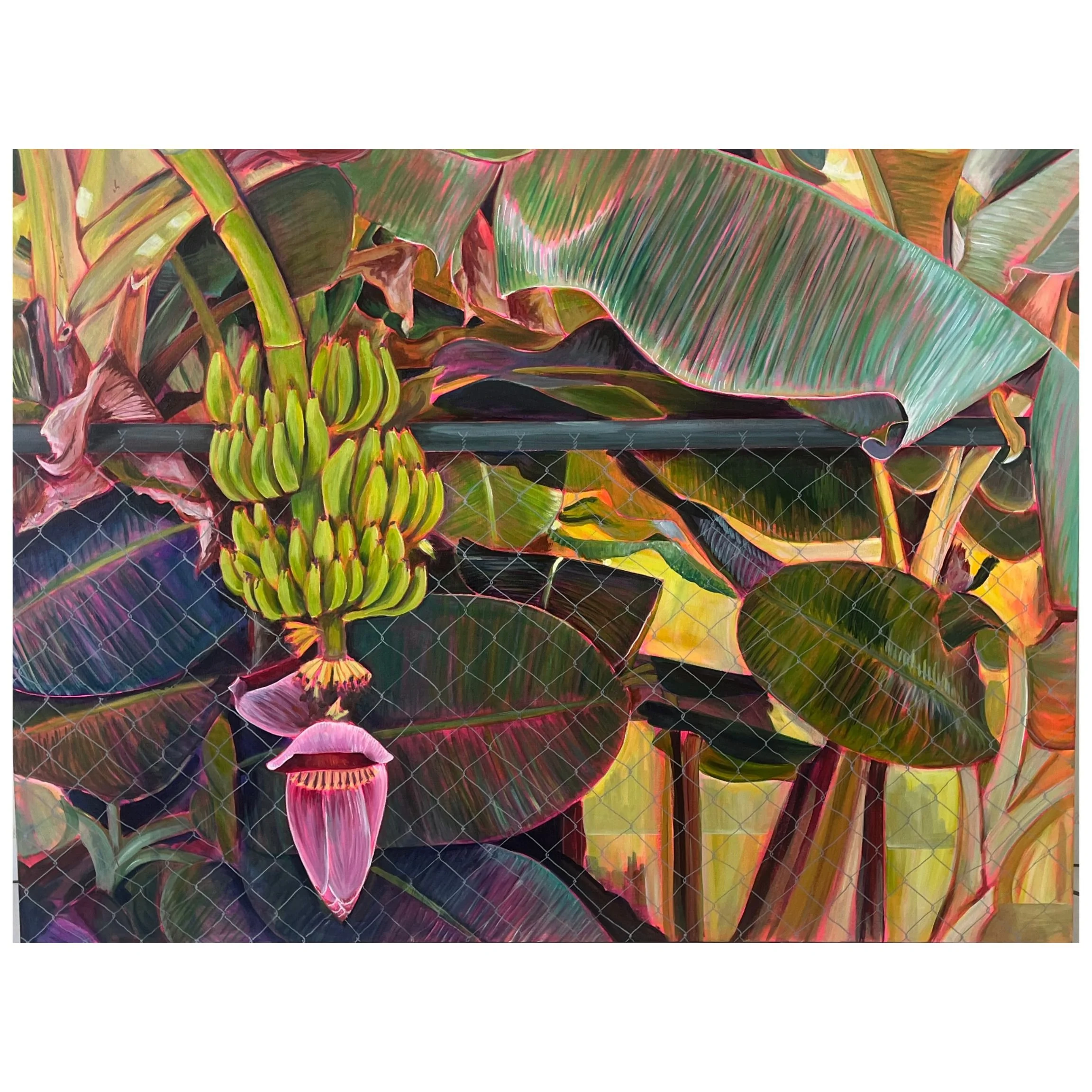 Floreciendo fuera del límite