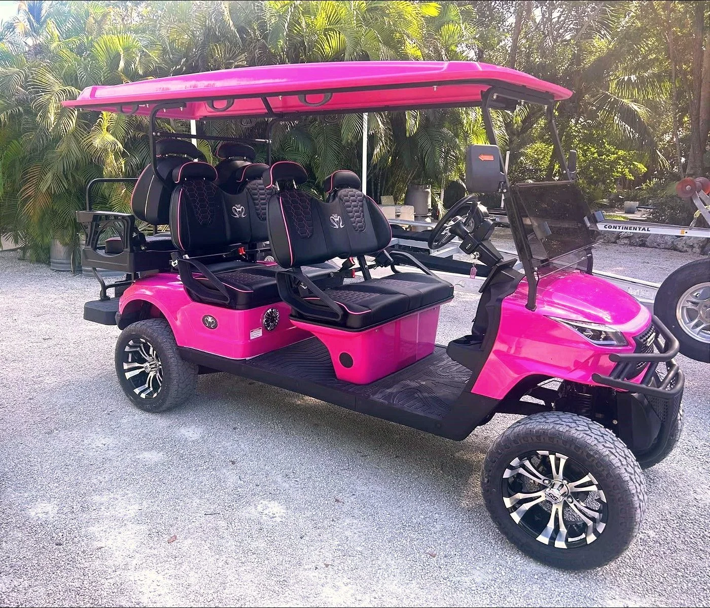 Pink Cart 2024.jpg