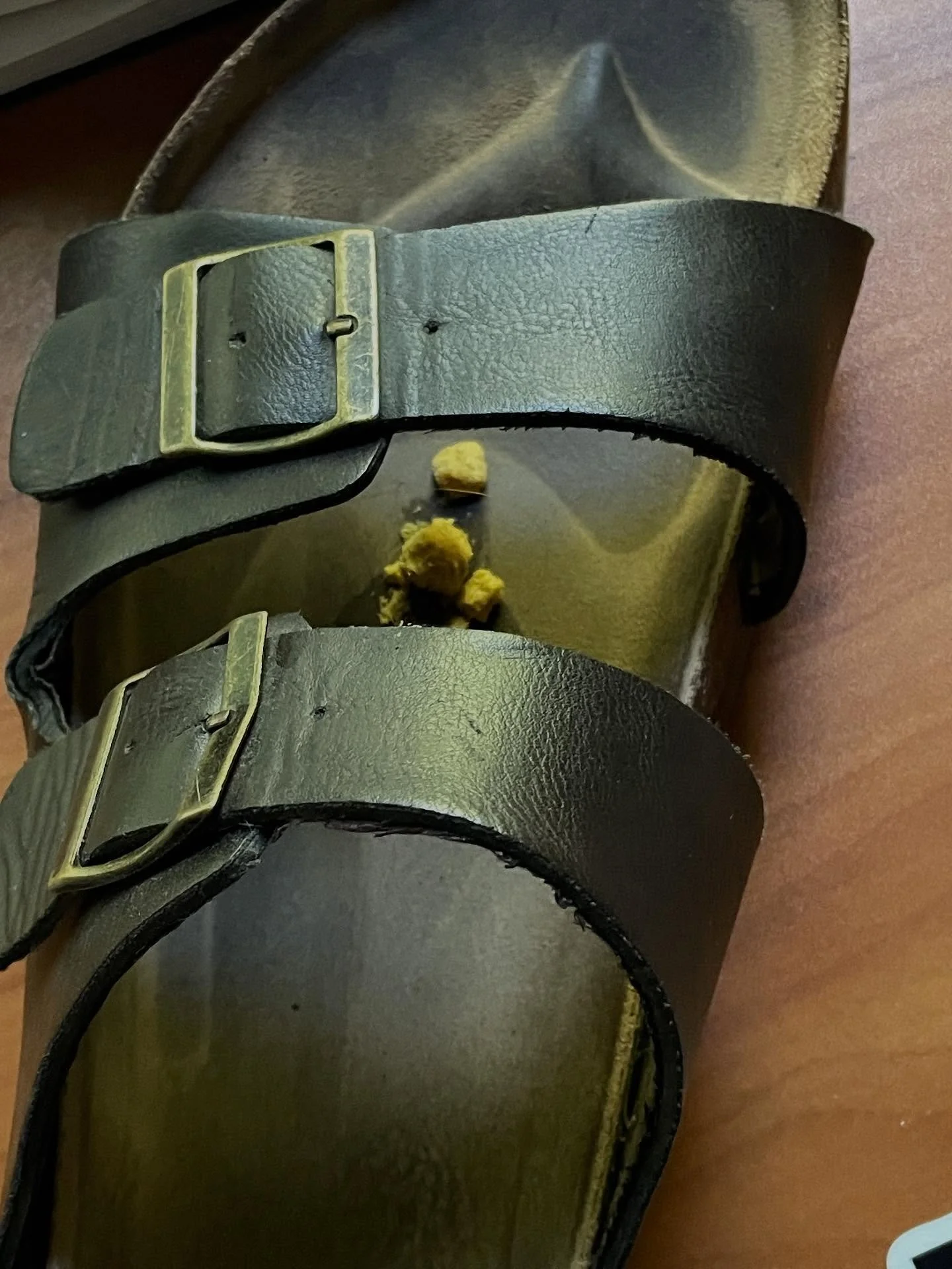 Ah yes, the old yak in the sandal ploy. Well played, Newt!