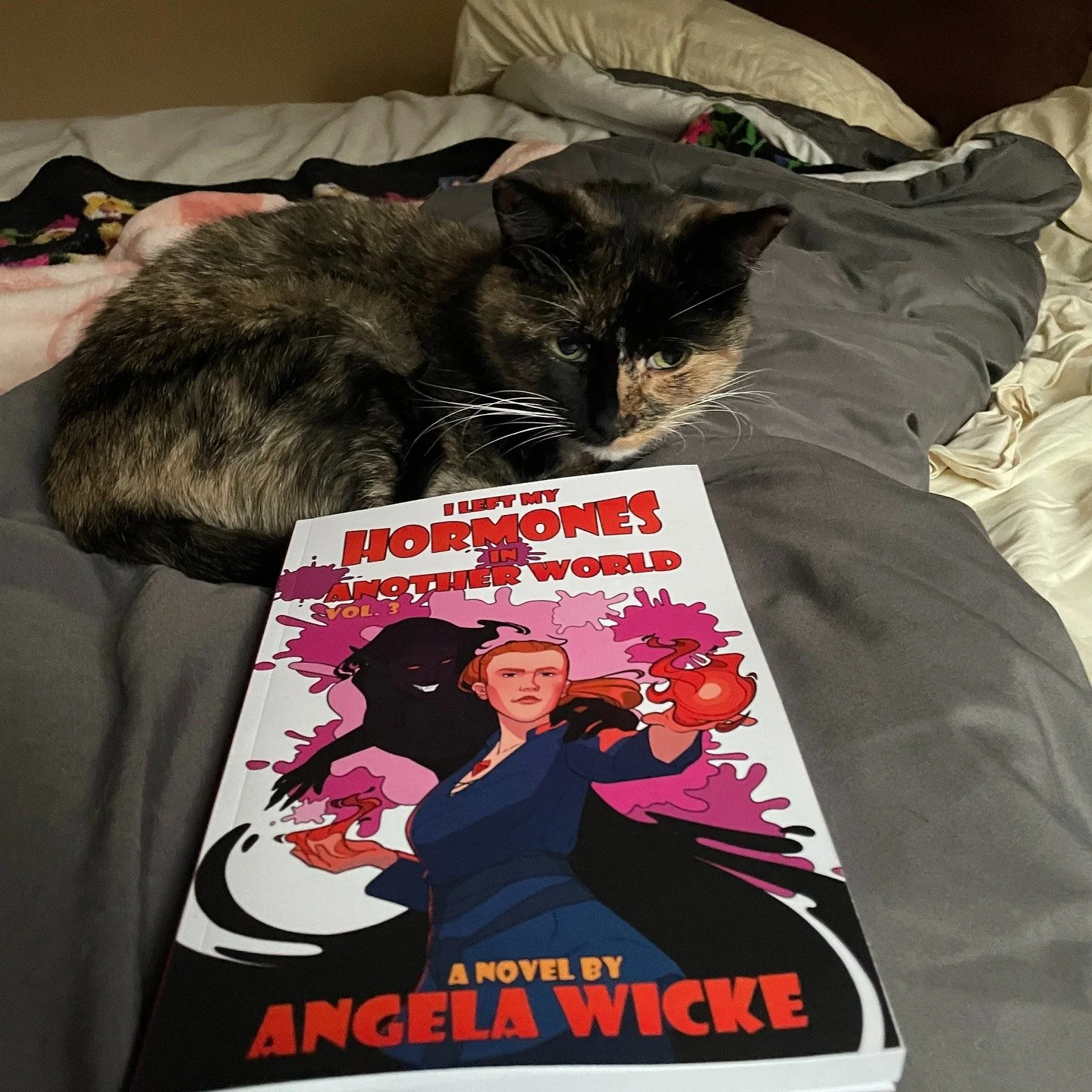 So excited to receive vol. 3 of I Left My Hormones in Another World, by Angela Wicke @angela.rose.998 Can't wait to read it (after Nomi's finished; she called dibs when she brought in the mail).
Check out Transqat Episode 84 from last season for my
