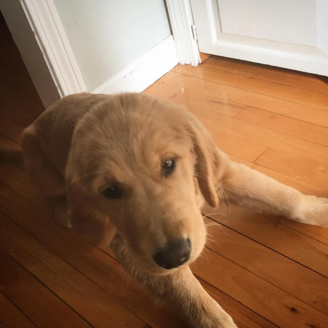 Stella is sweet sometimes.