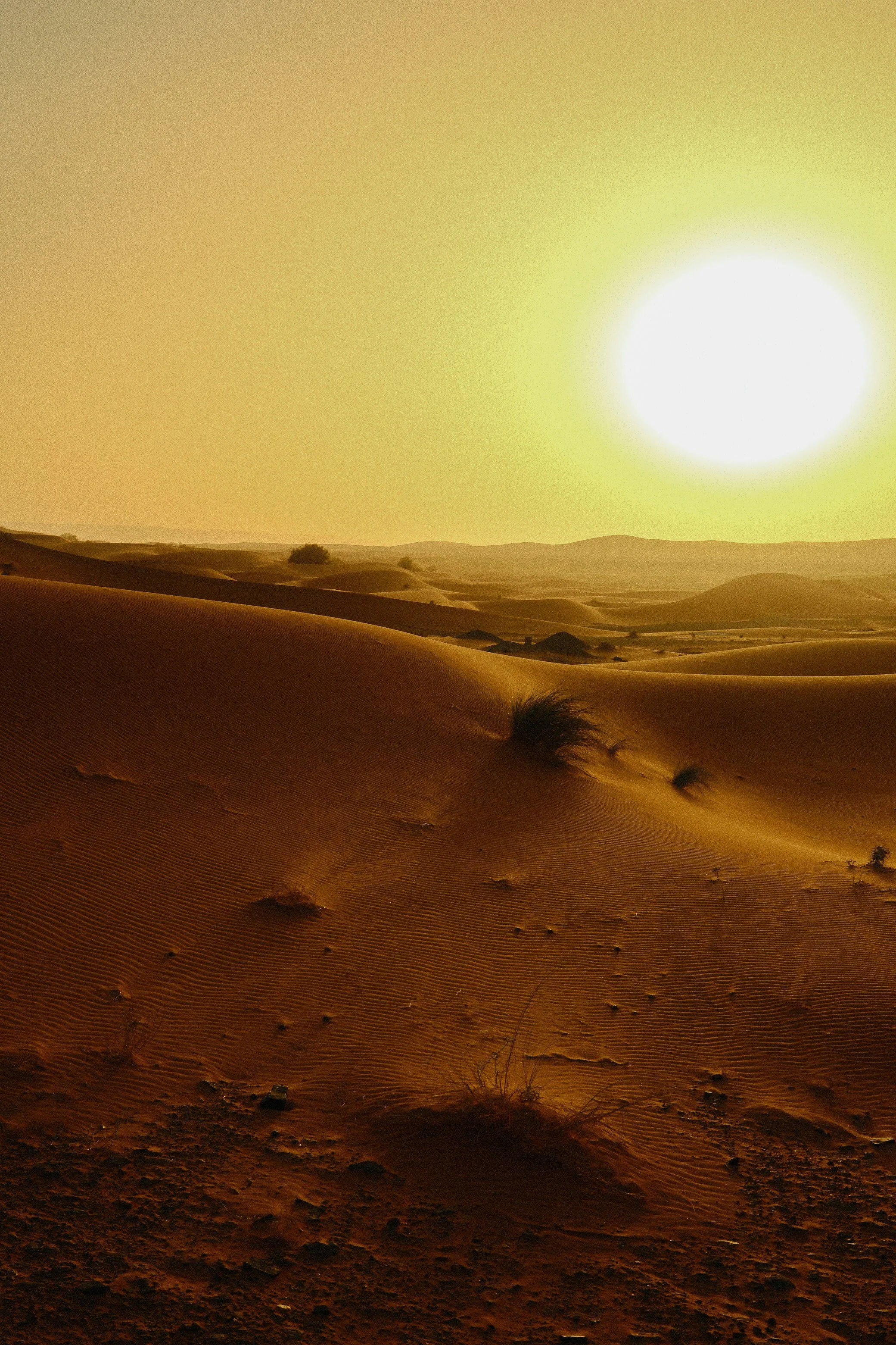 “como la haces para soperar un dolor?” “how do you overcome pain?”