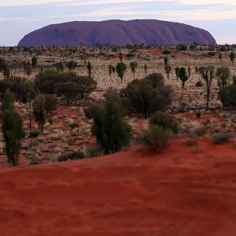 01-Larapinta-LR.png