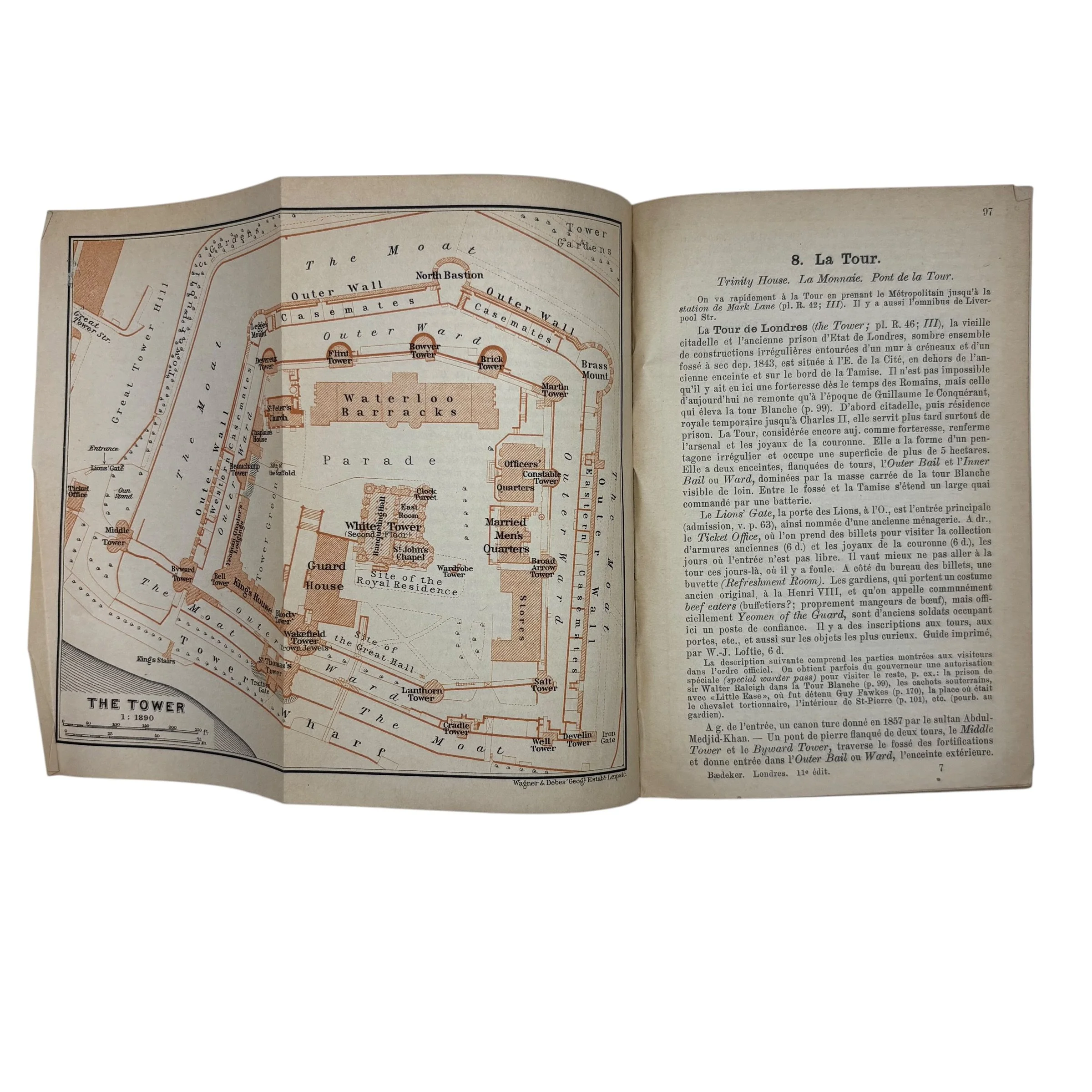 IMG_8111-Photoroom.jpeg