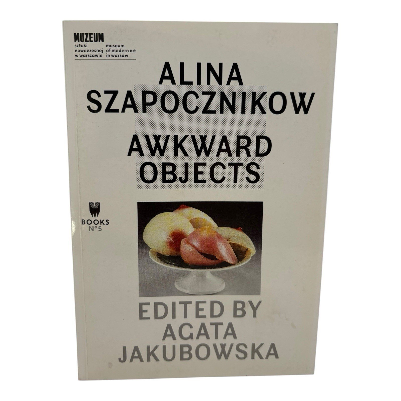 alina szapocznikow.jpeg