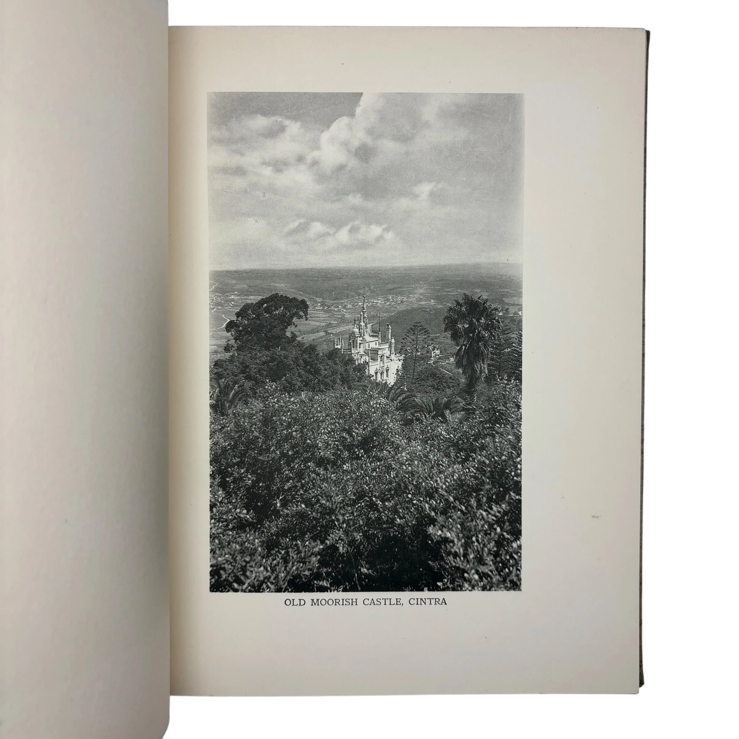 IMG_2636-Photoroom.jpeg
