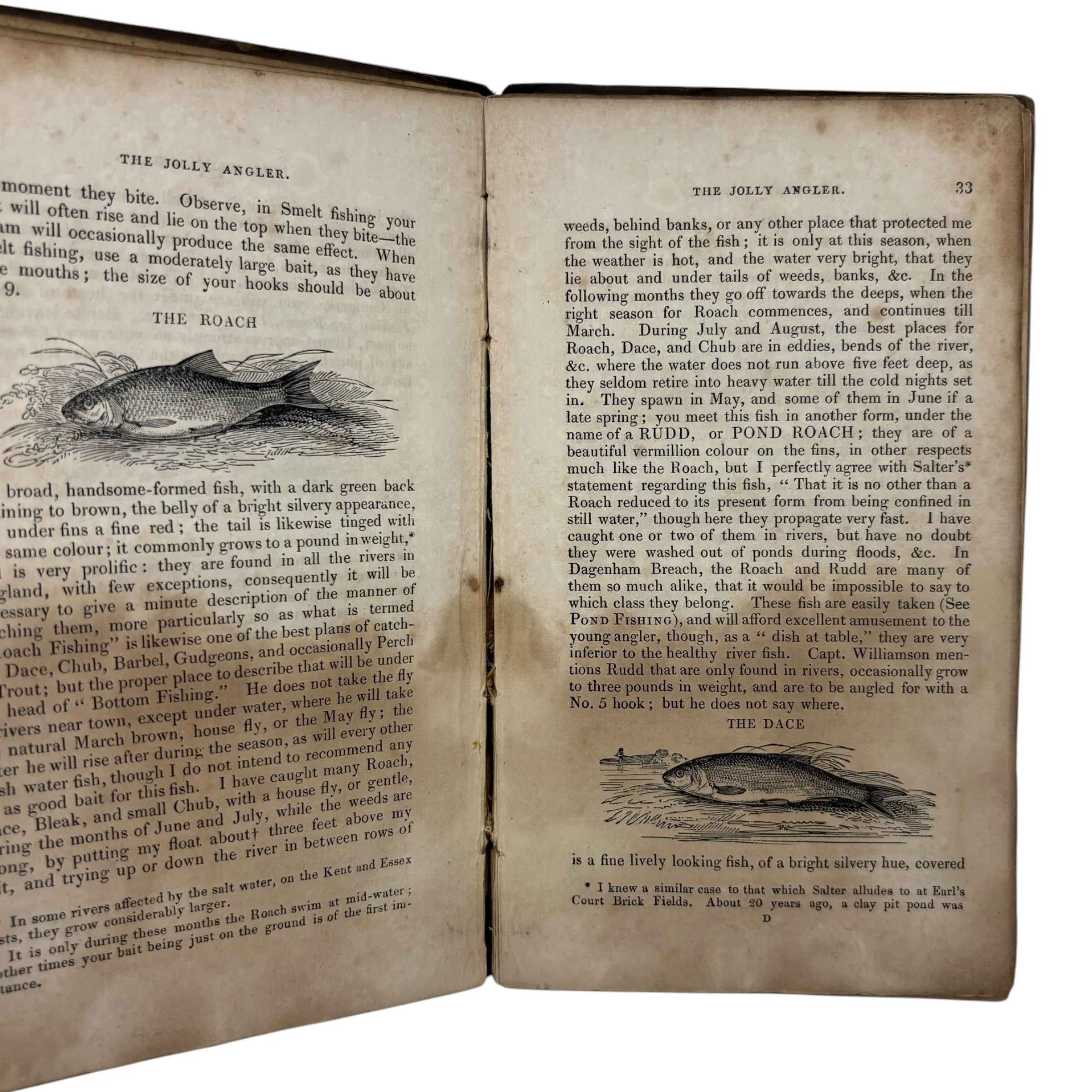 IMG_5690-Photoroom.jpeg
