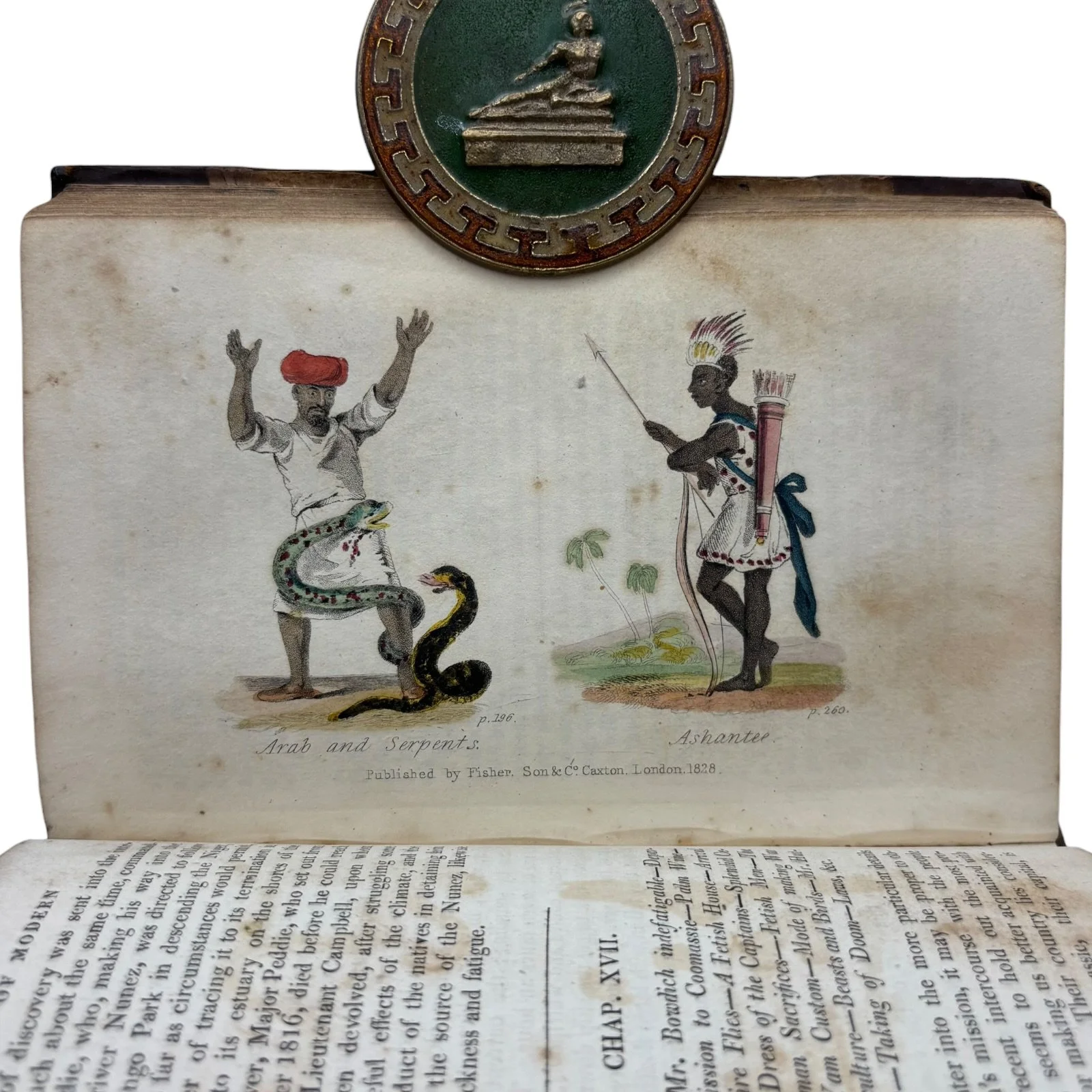 IMG_1705-Photoroom.jpeg