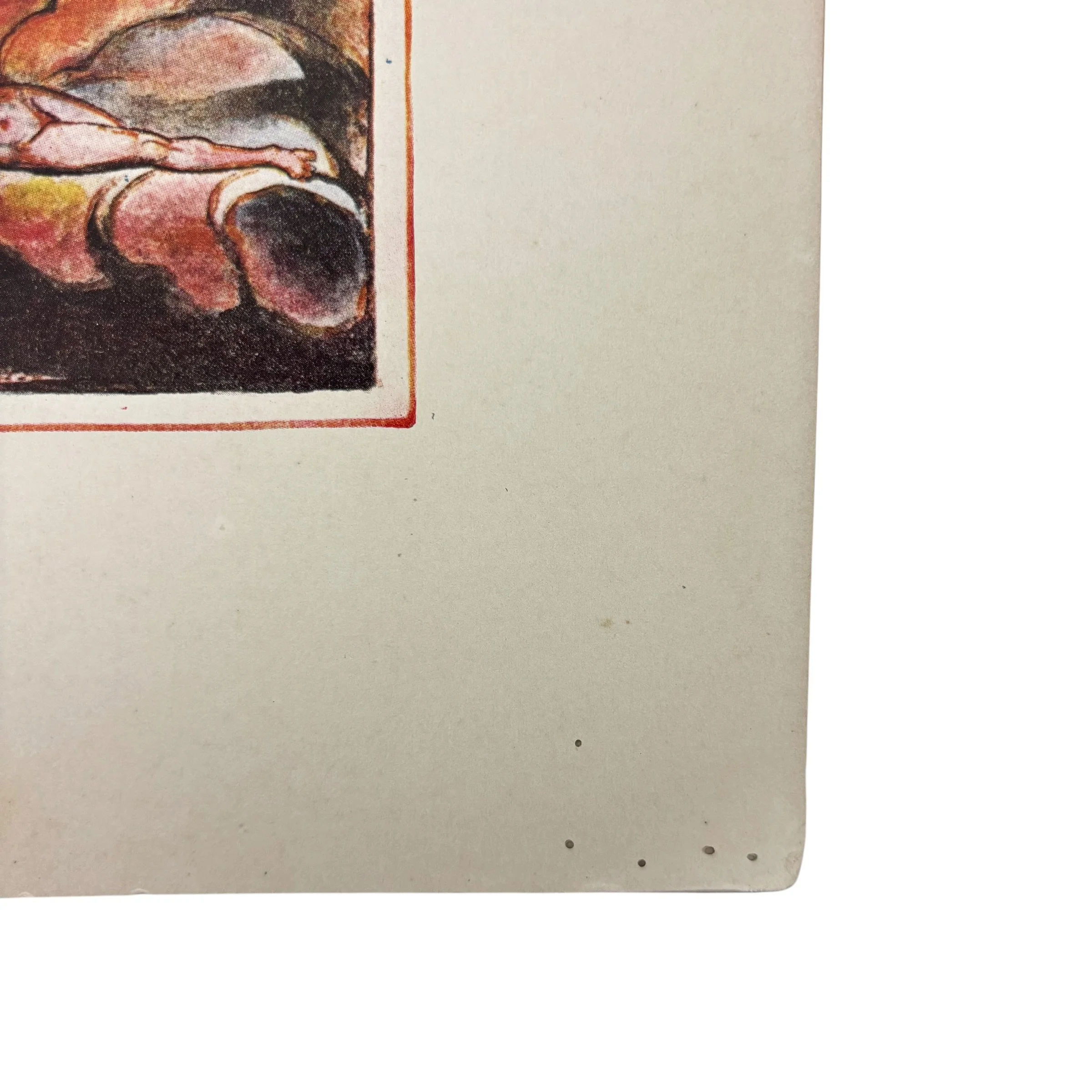 IMG_9719-Photoroom.jpeg