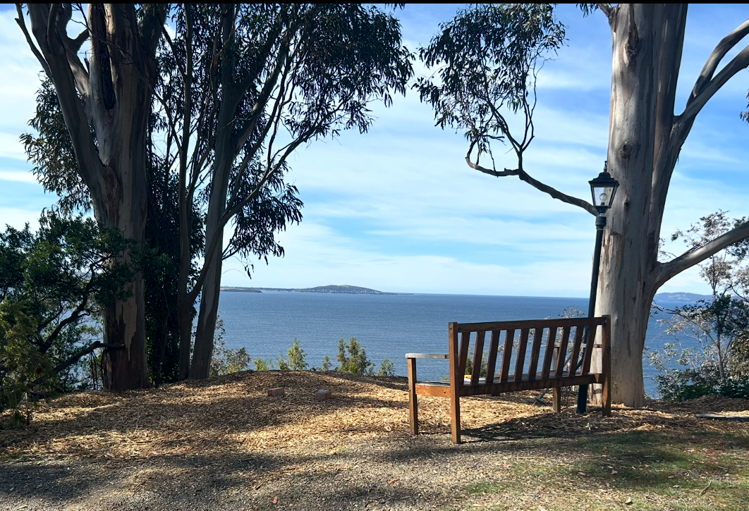 Taroona bush and beautiul  view of beach 