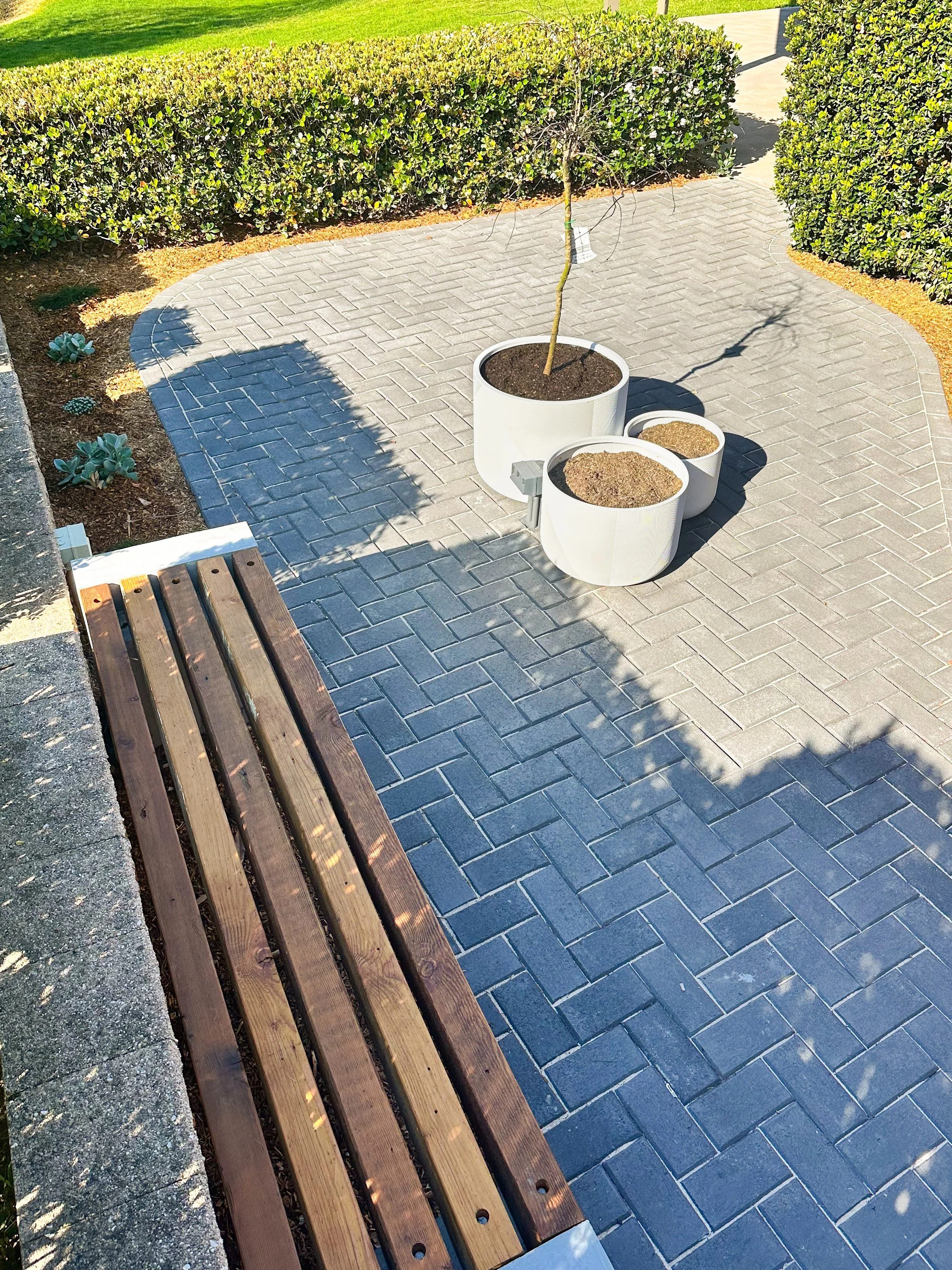 image_123650291 (15).JPG