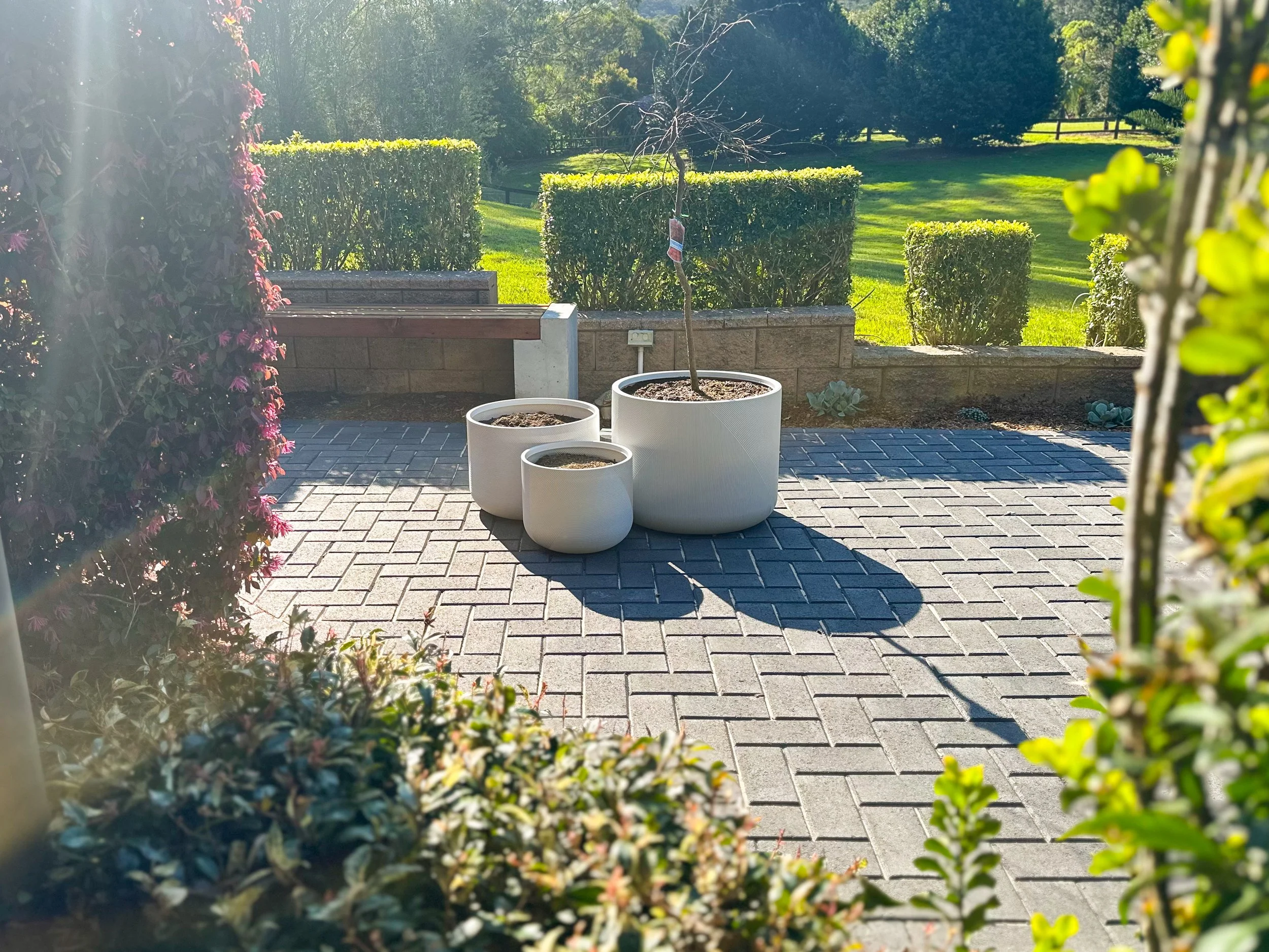 image_123650291 (17).JPG