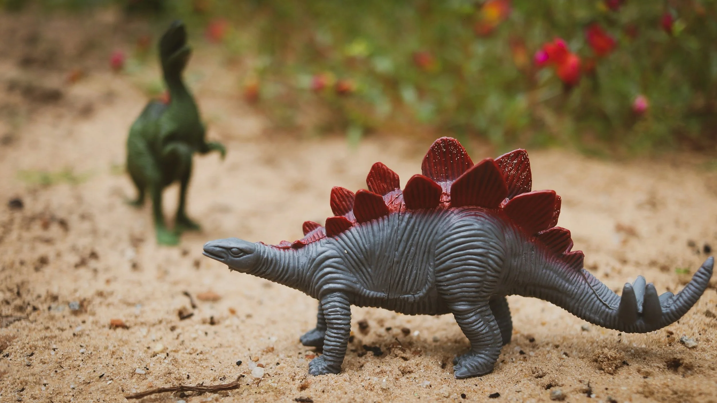 Dinosaurs