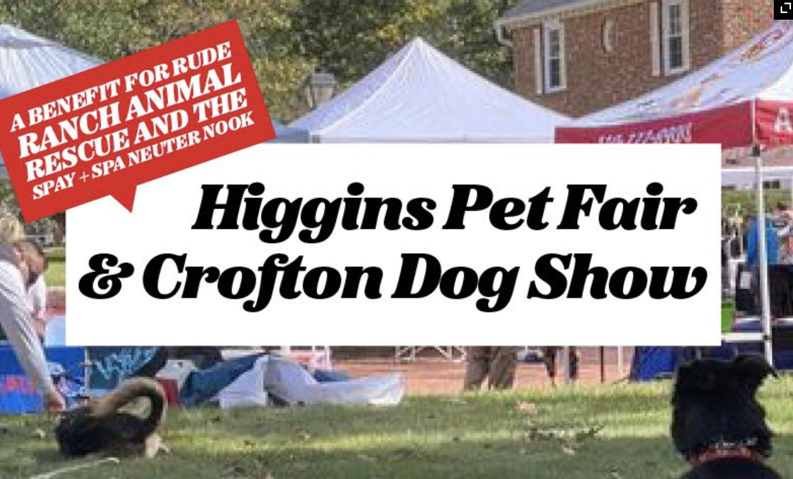 Higgin's Pet Fair