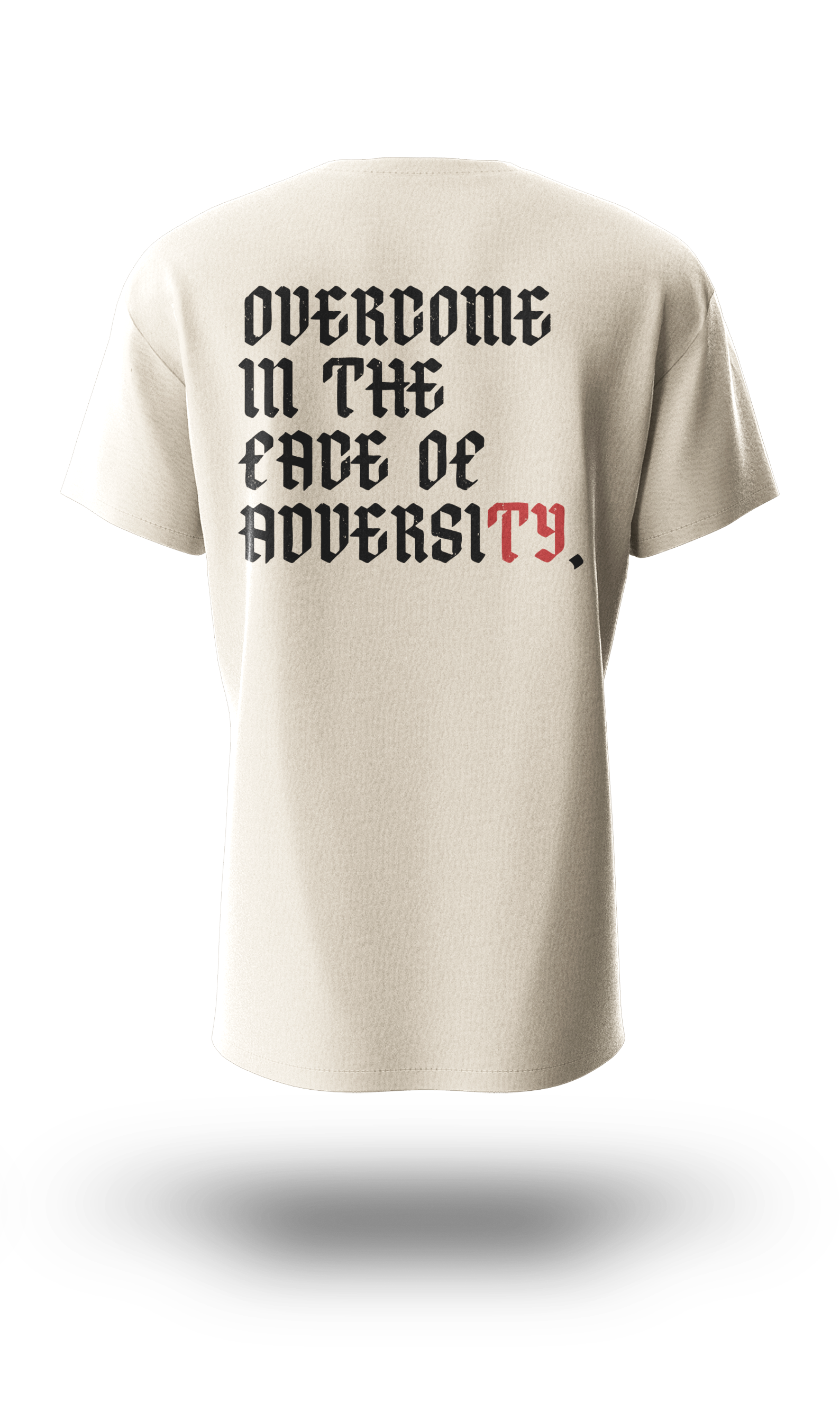Aversi Tee - Back.png