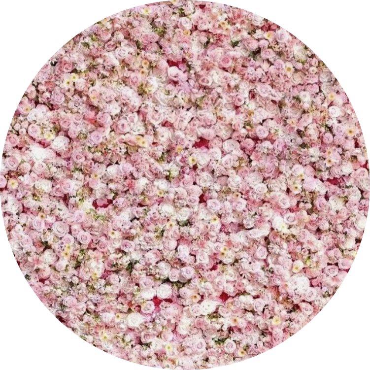 Photo booth background option in antique white wood design. This backdrop features a rustic wooden pattern with a distressed, whitewashed finish, giving it a vintage and cozy look, perfect for casual and country-themed events.