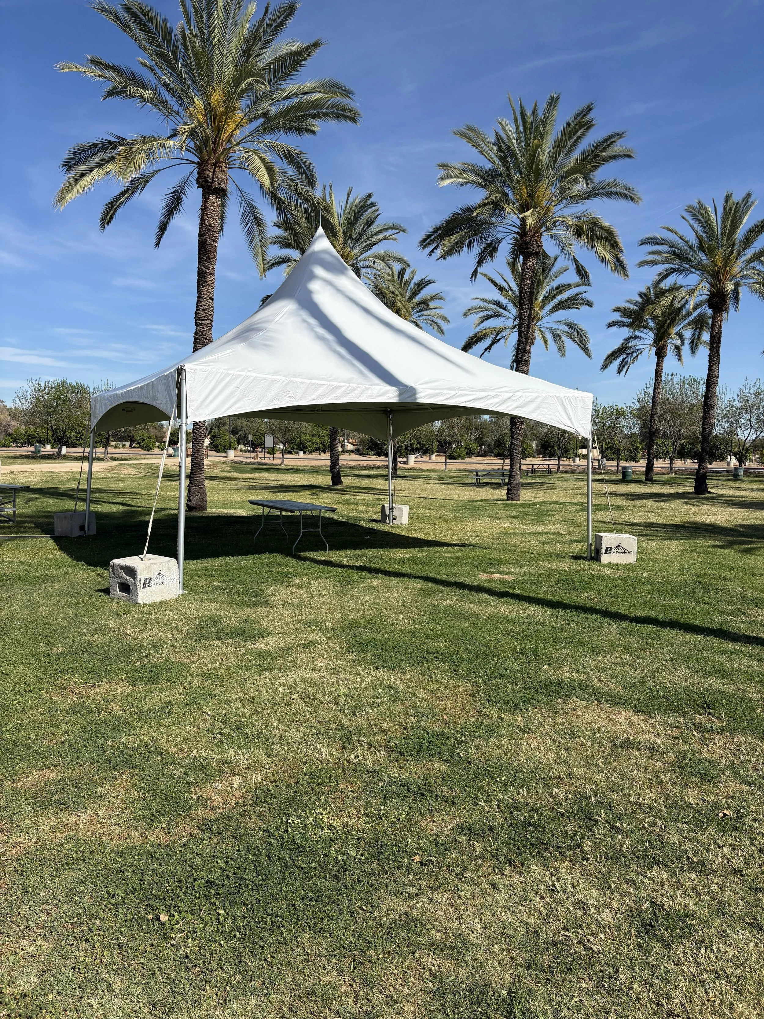 A white canopy tent set up in a park with palm trees, benches, and a grassy area under a partly cloudy blue sky.