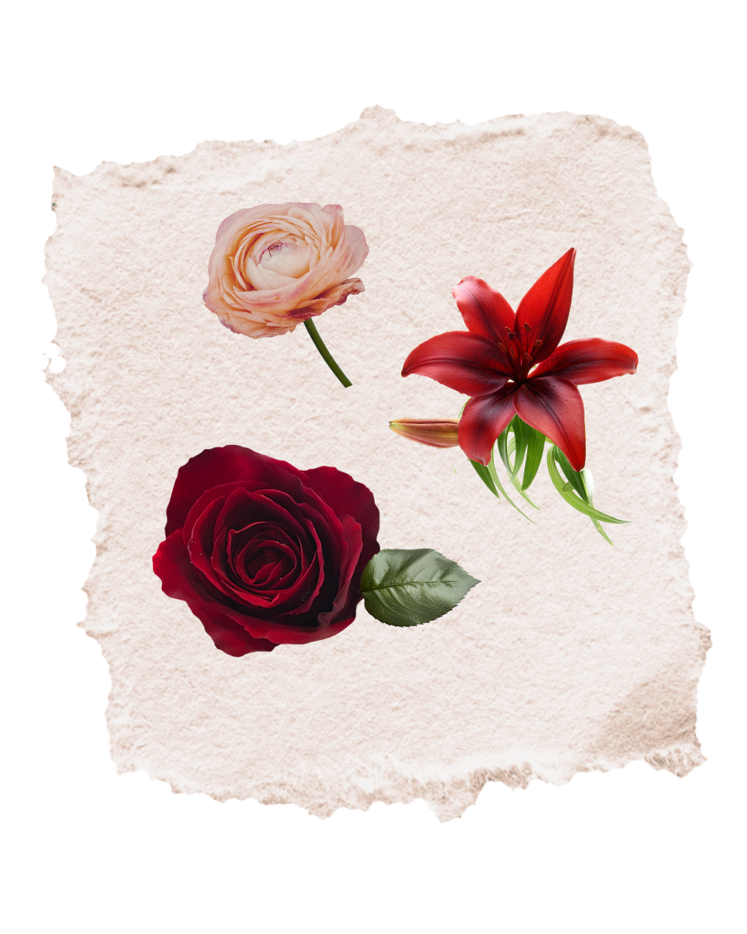 The Boudoir, Wrapped Bouquet