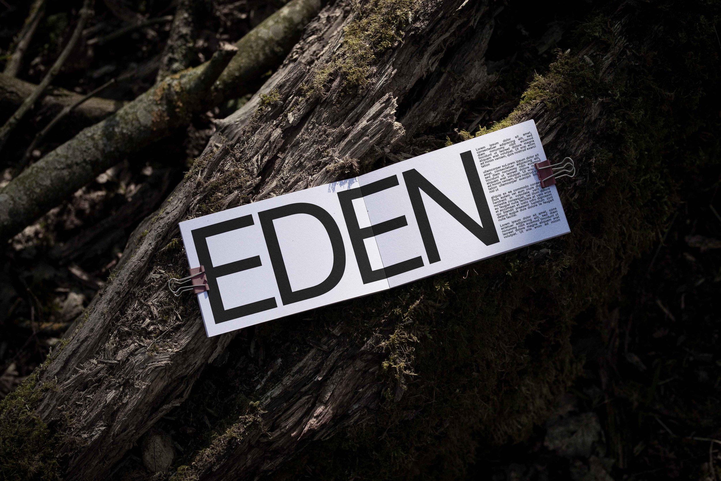 FORMAT_EDEN_BOOK_03.jpg