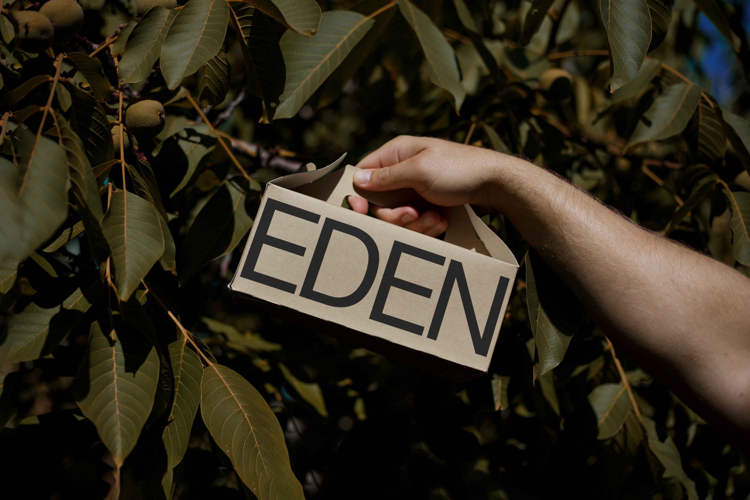 FORMAT_EDEN_SMALL_ECOBOX_03.jpg