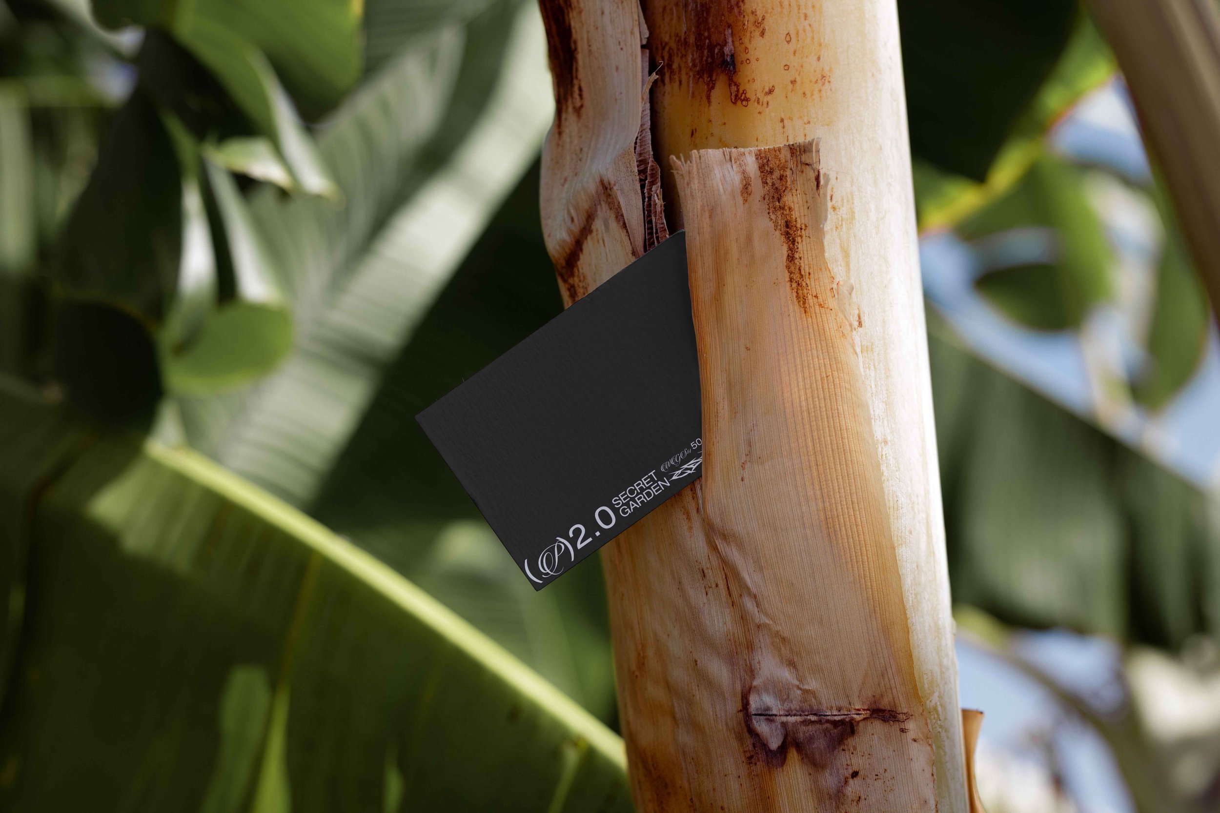 FORMAT_EDEN_02_BUSINESSCARD_08 V3.jpg