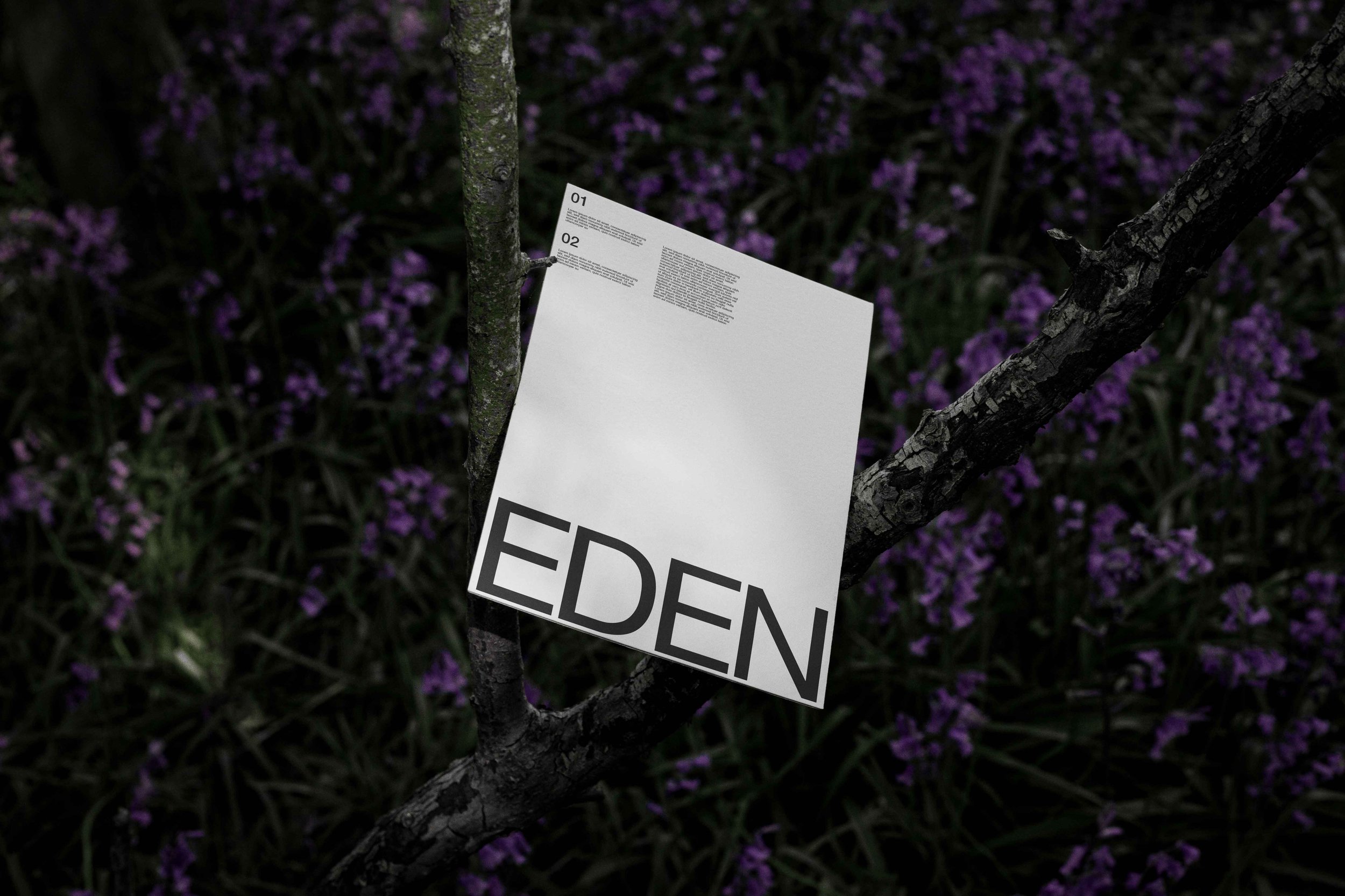 FORMAT_EDEN_POSTER_01.jpg